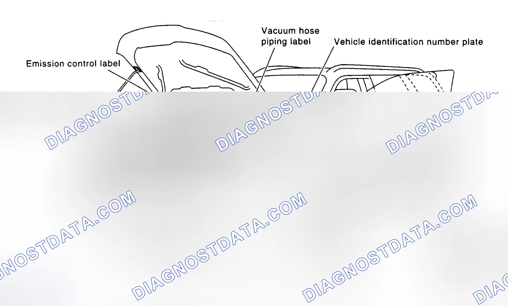 Scheme 1: IDENTIFICATION NUMBERS AND LABEL LOCATIONS