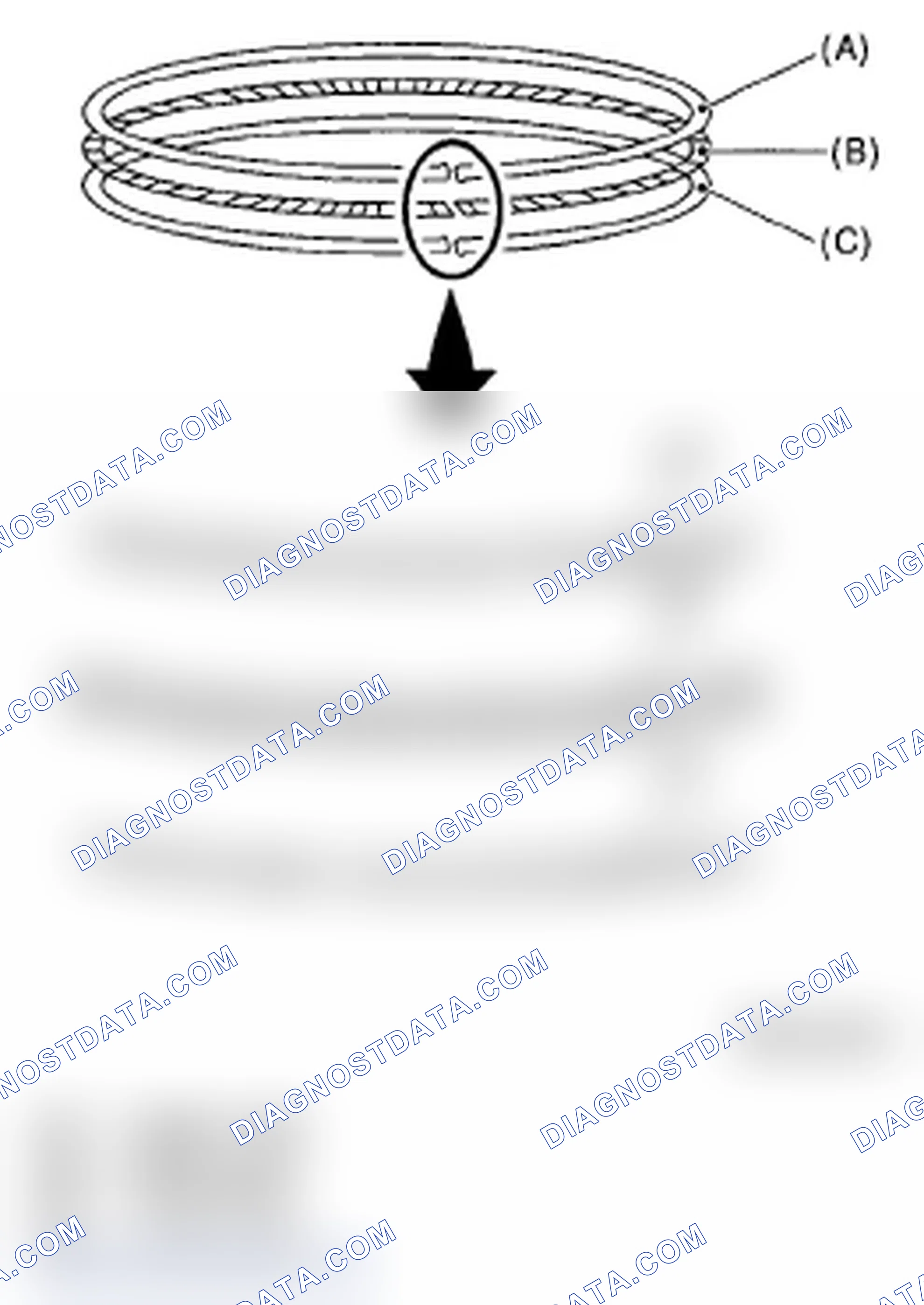 Scheme 232: PISTON RING