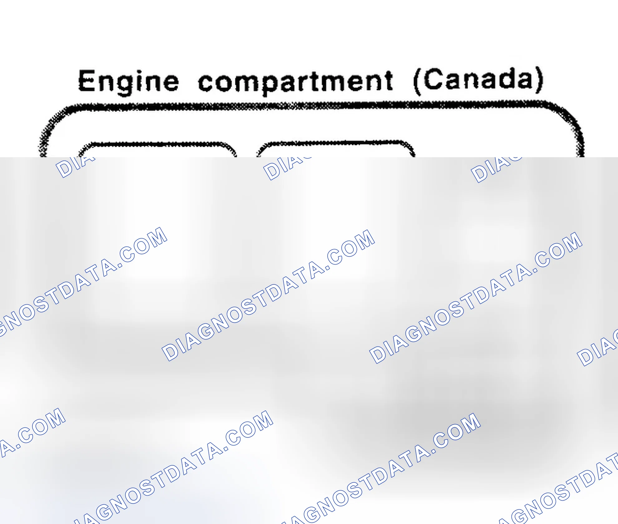 Scheme 4