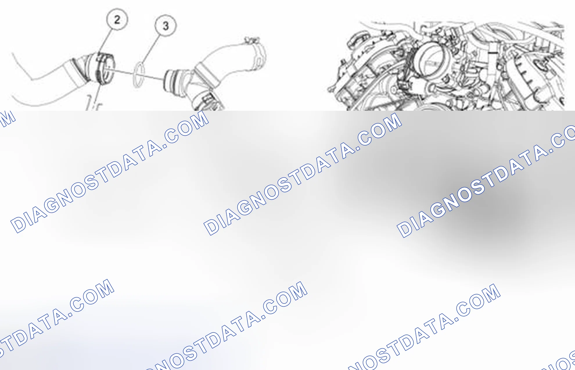Scheme 12: Thermostat Housing - 5.0L and Boss® 302