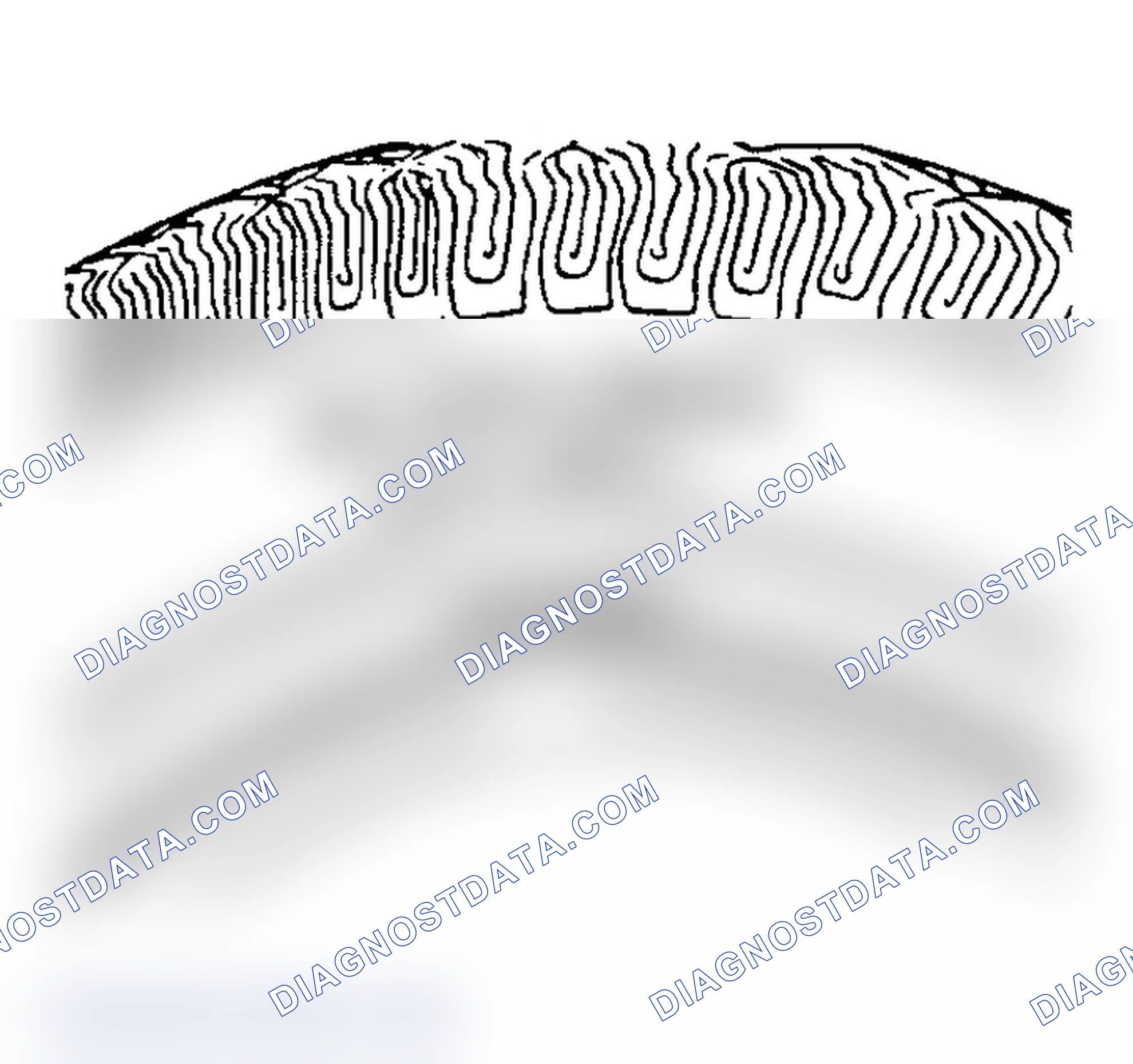 Scheme 7: All Seasons Tires Description