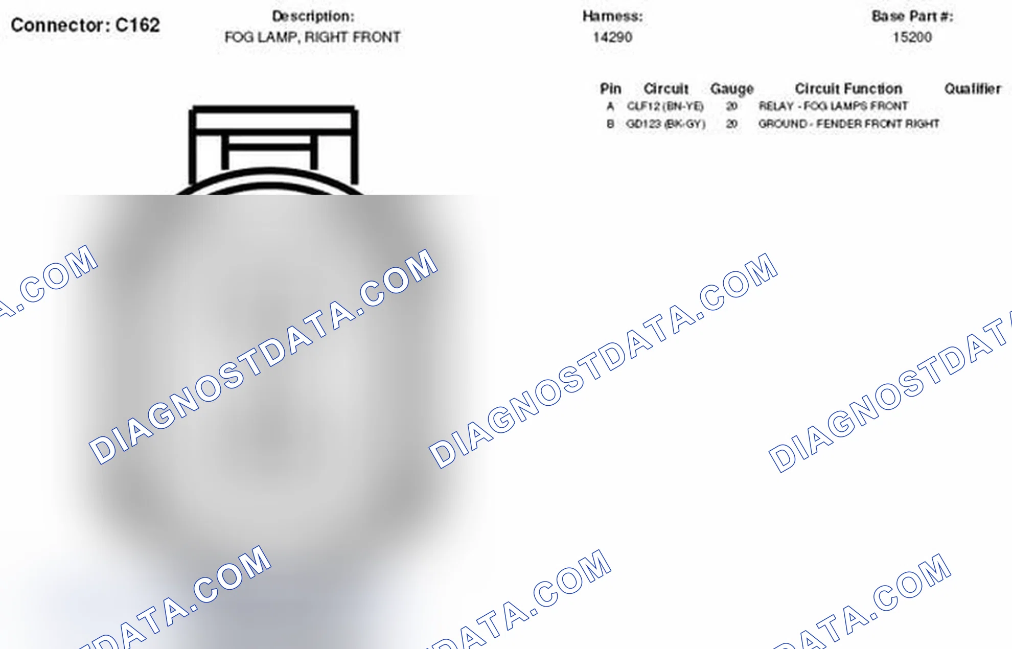 Scheme 37: Right Front Fog Lamp Connector End View (C162)