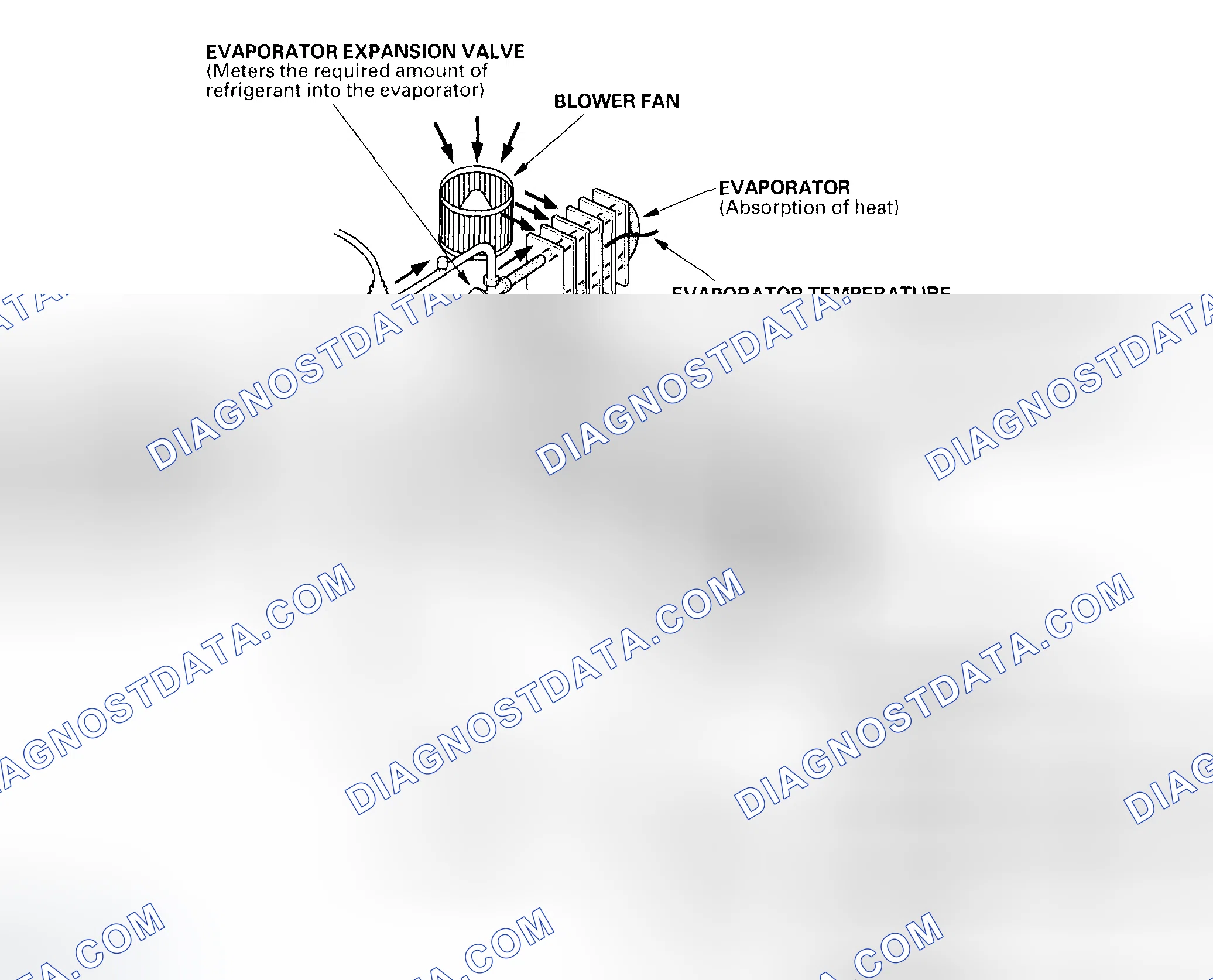 Scheme 5: System Description