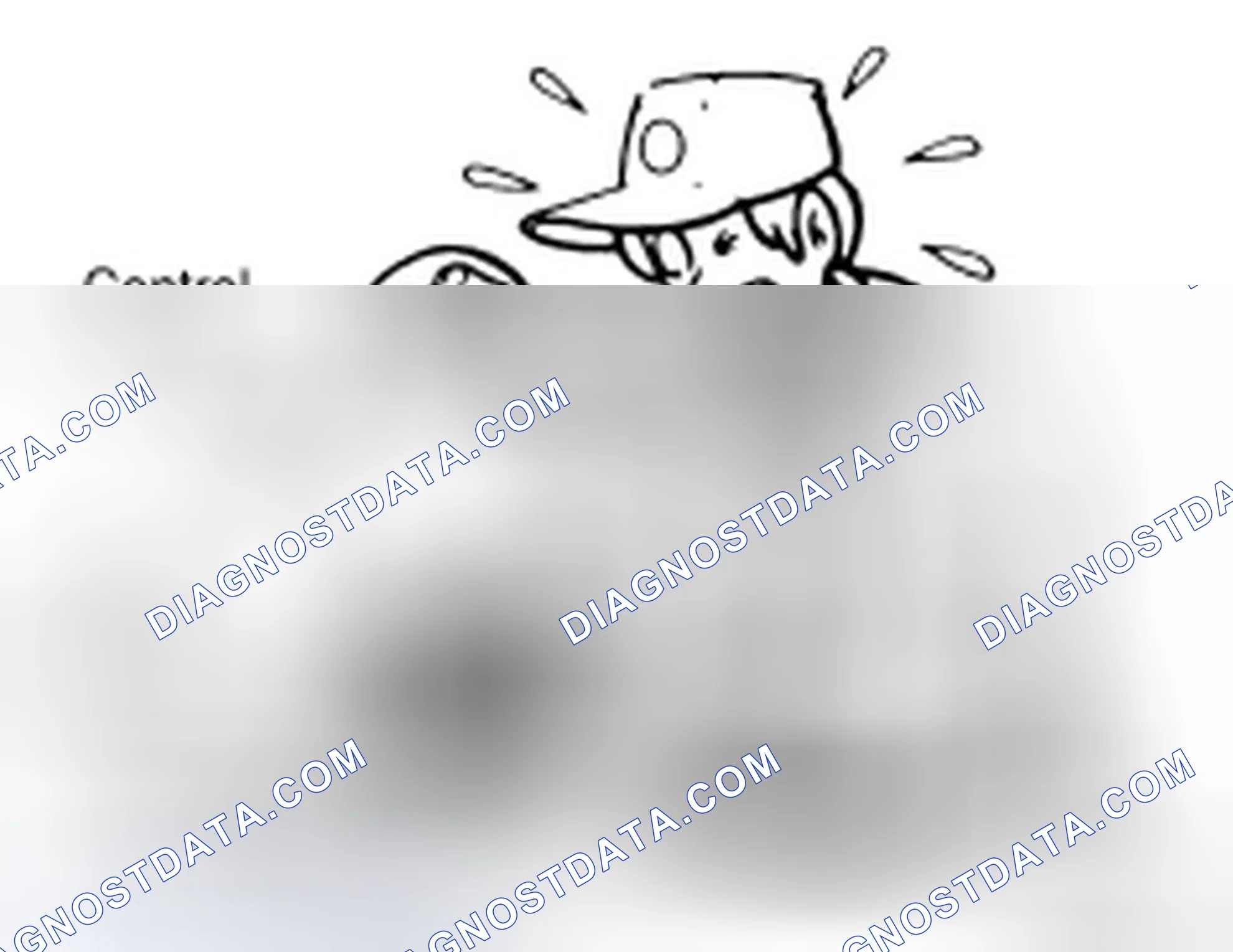 Scheme 52: PRECAUTIONS