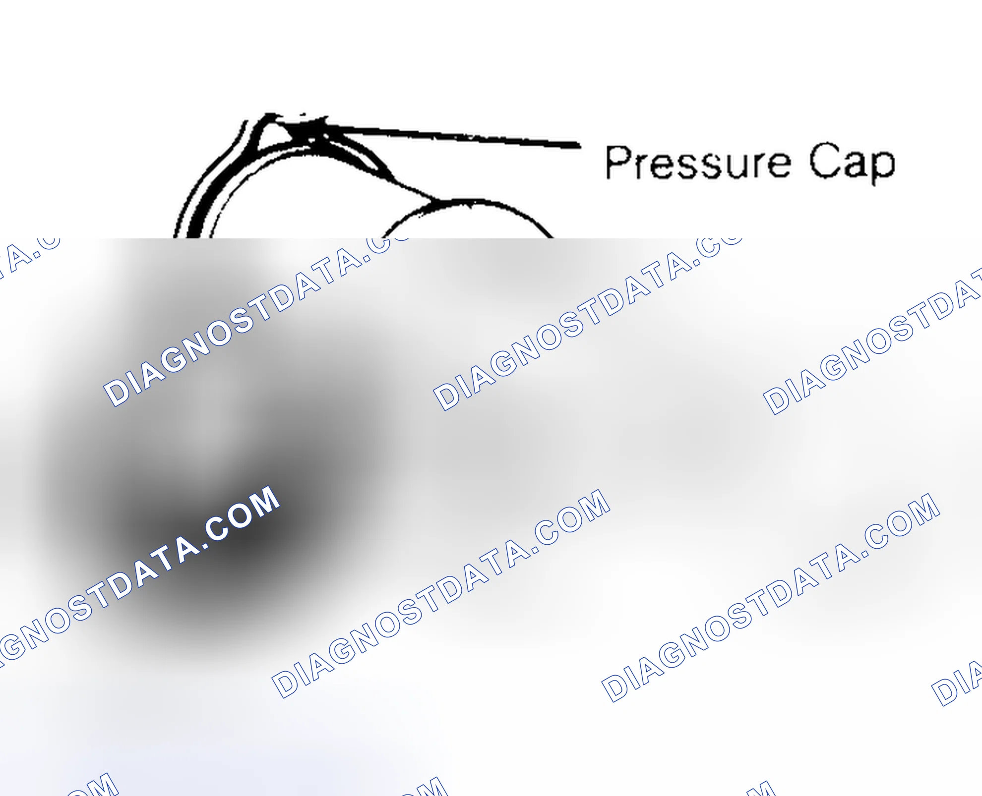 Scheme 2: Pressure Testing Radiator Cap