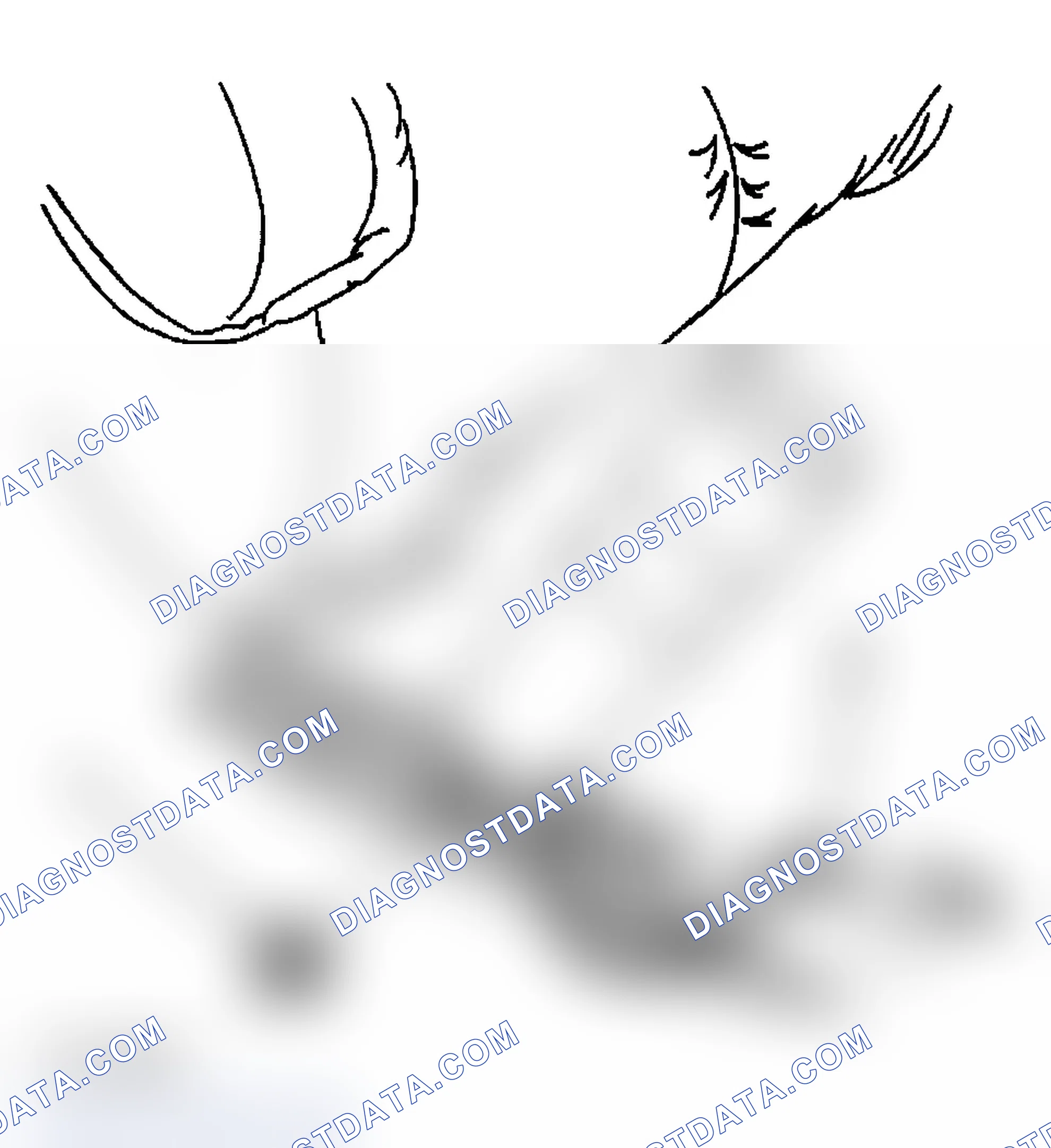 Scheme 7: Removal Procedure