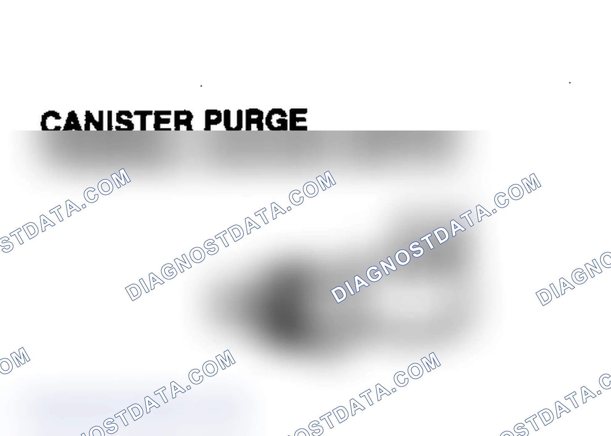 Scheme 1: CANISTER PURGE THERMAL VACUUM SWITCH