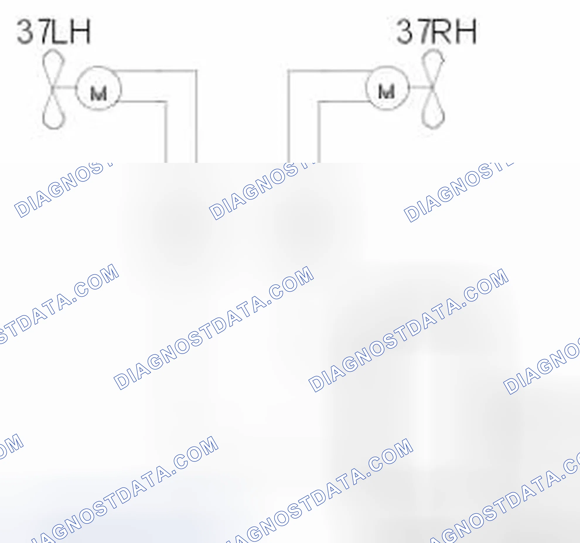 Scheme 315