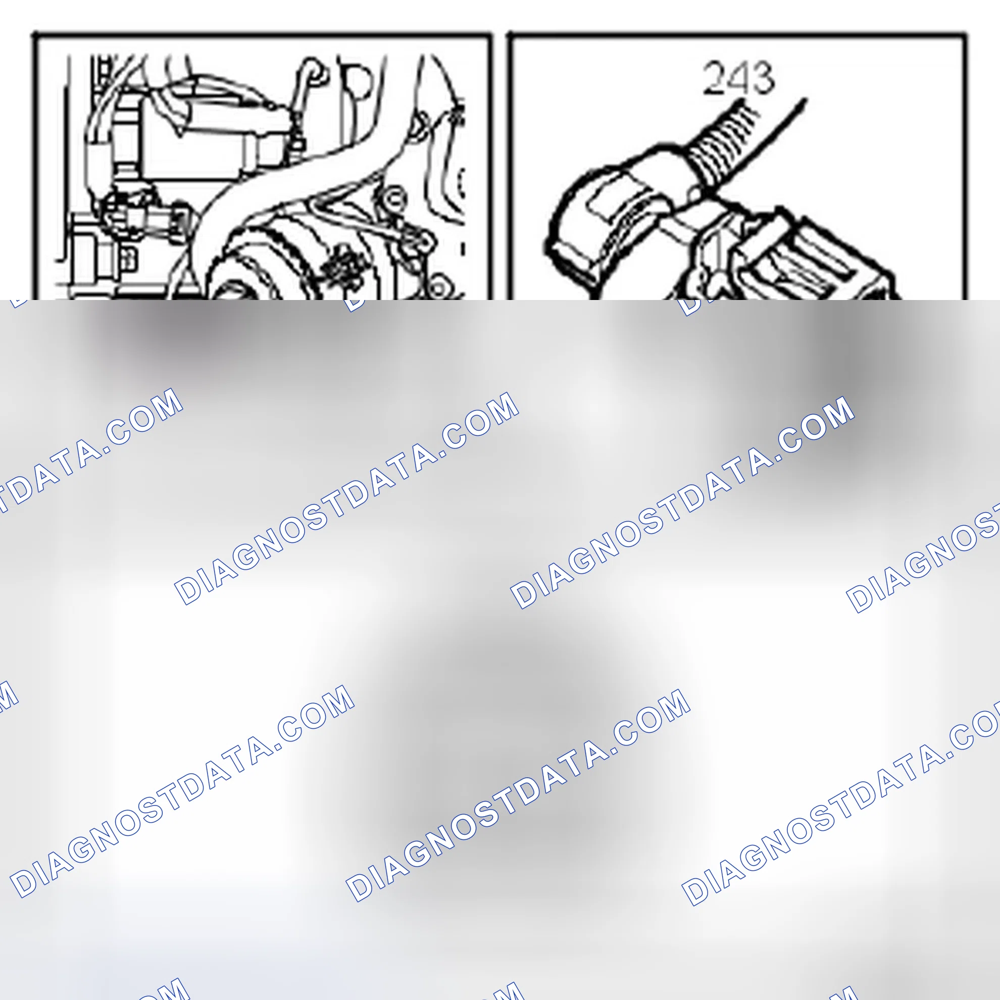 Scheme 1003: Z19DT