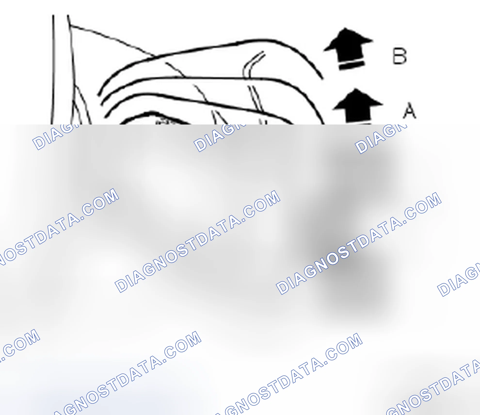 Scheme 9