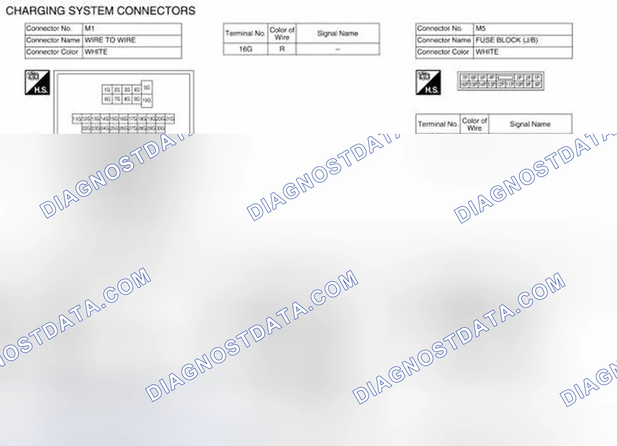 Scheme 5: Connector Terminal Identification