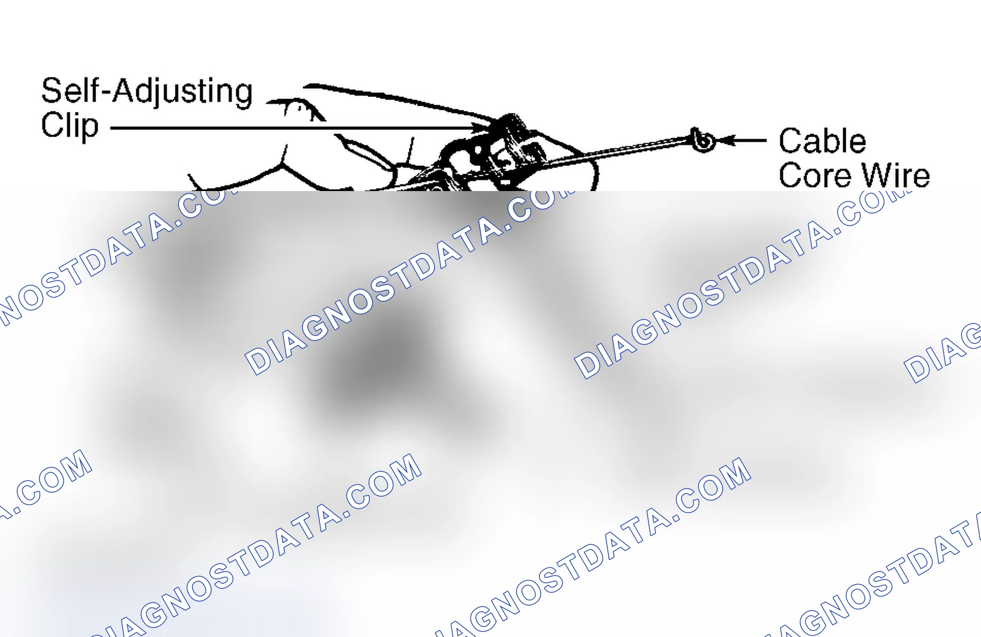 Scheme 5