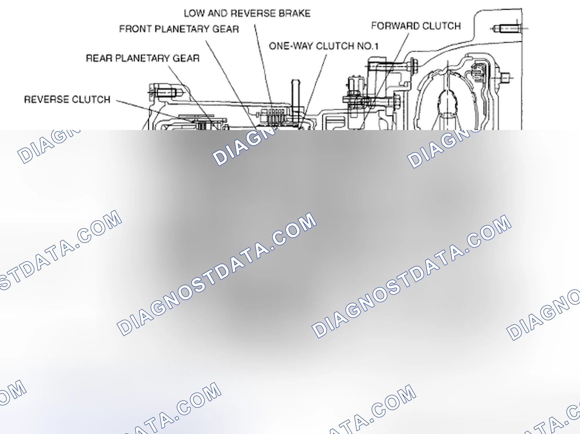 Scheme 619