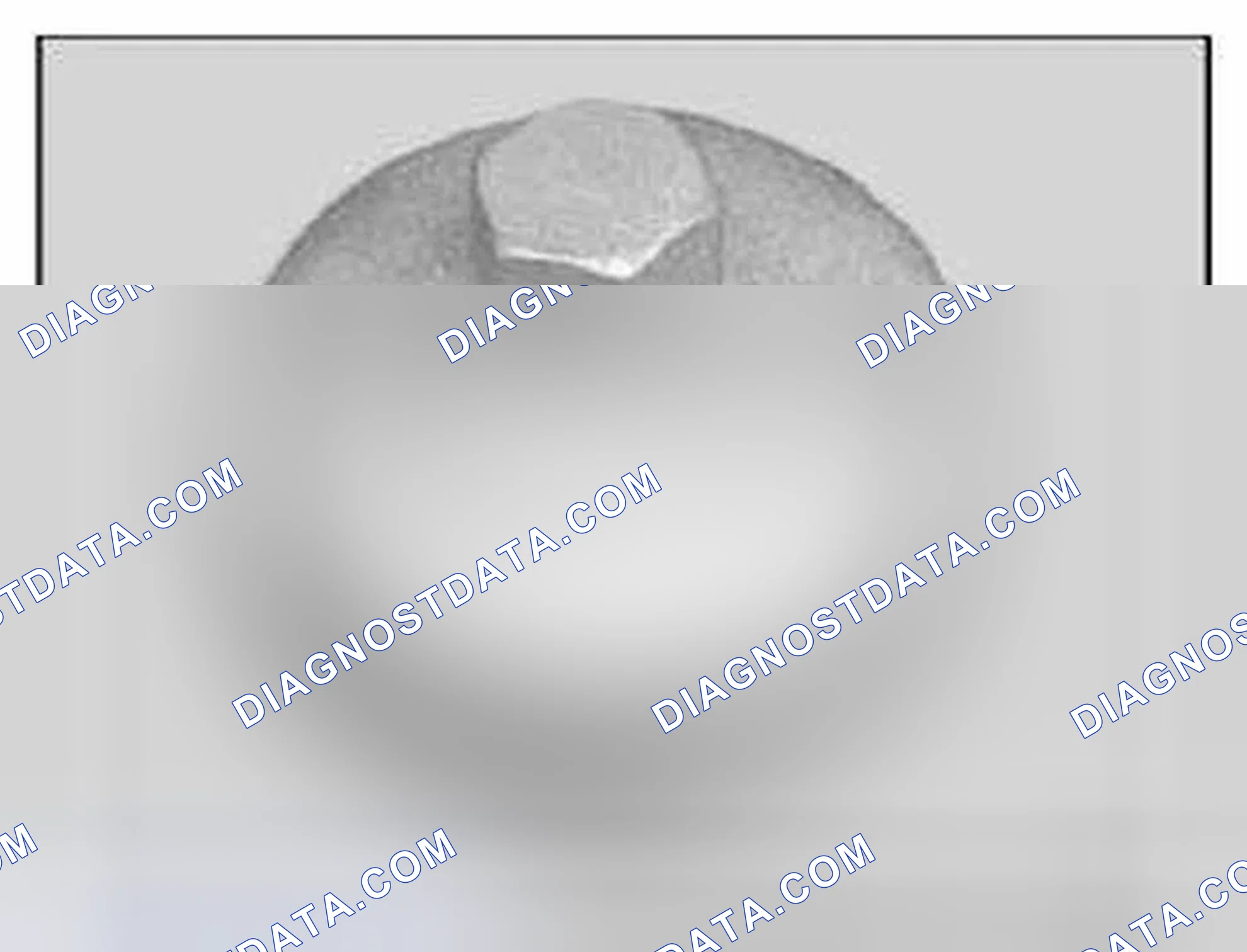 Scheme 438: 11 9 240 Oil filter wrench