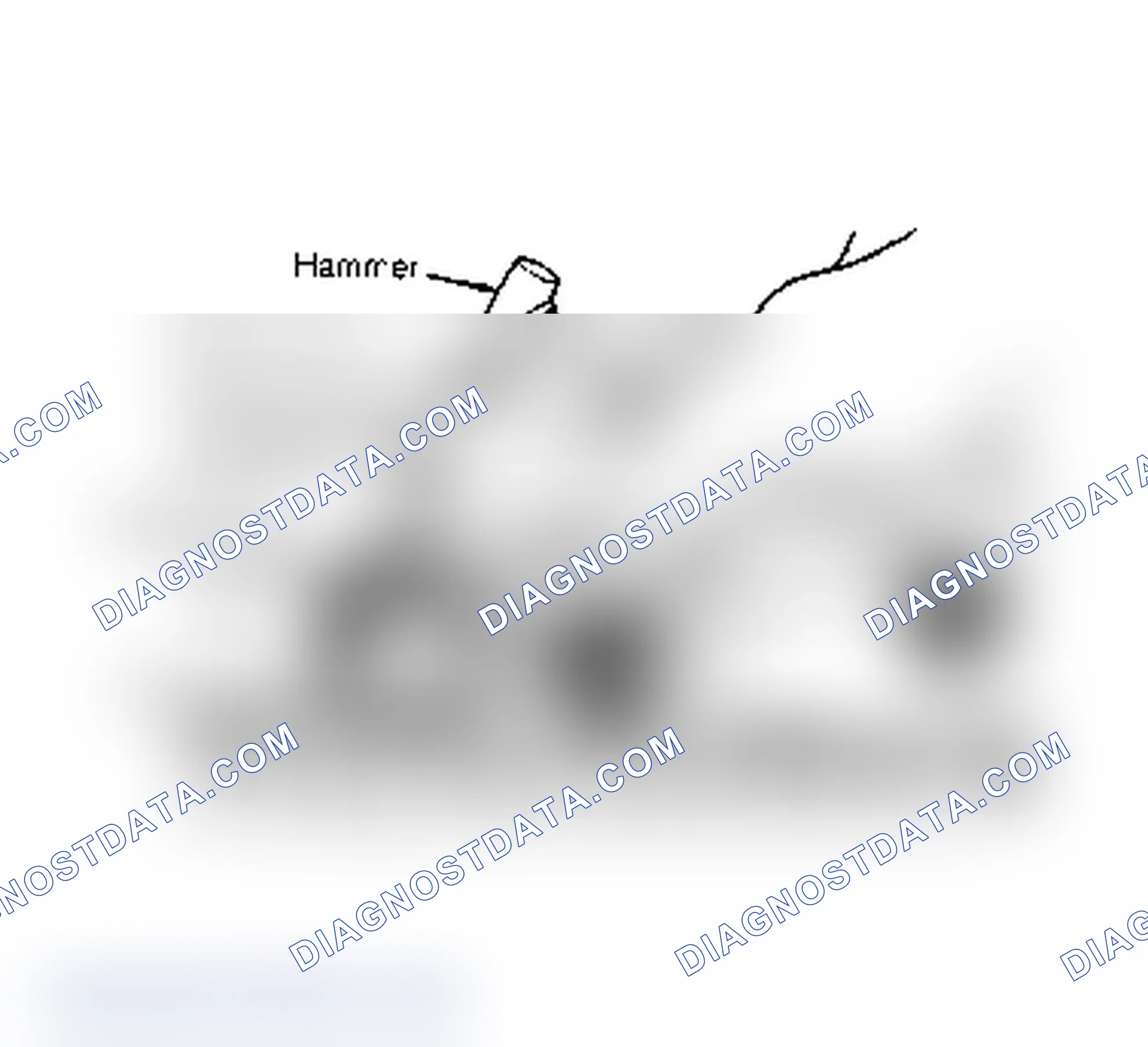 Scheme 4: Removal