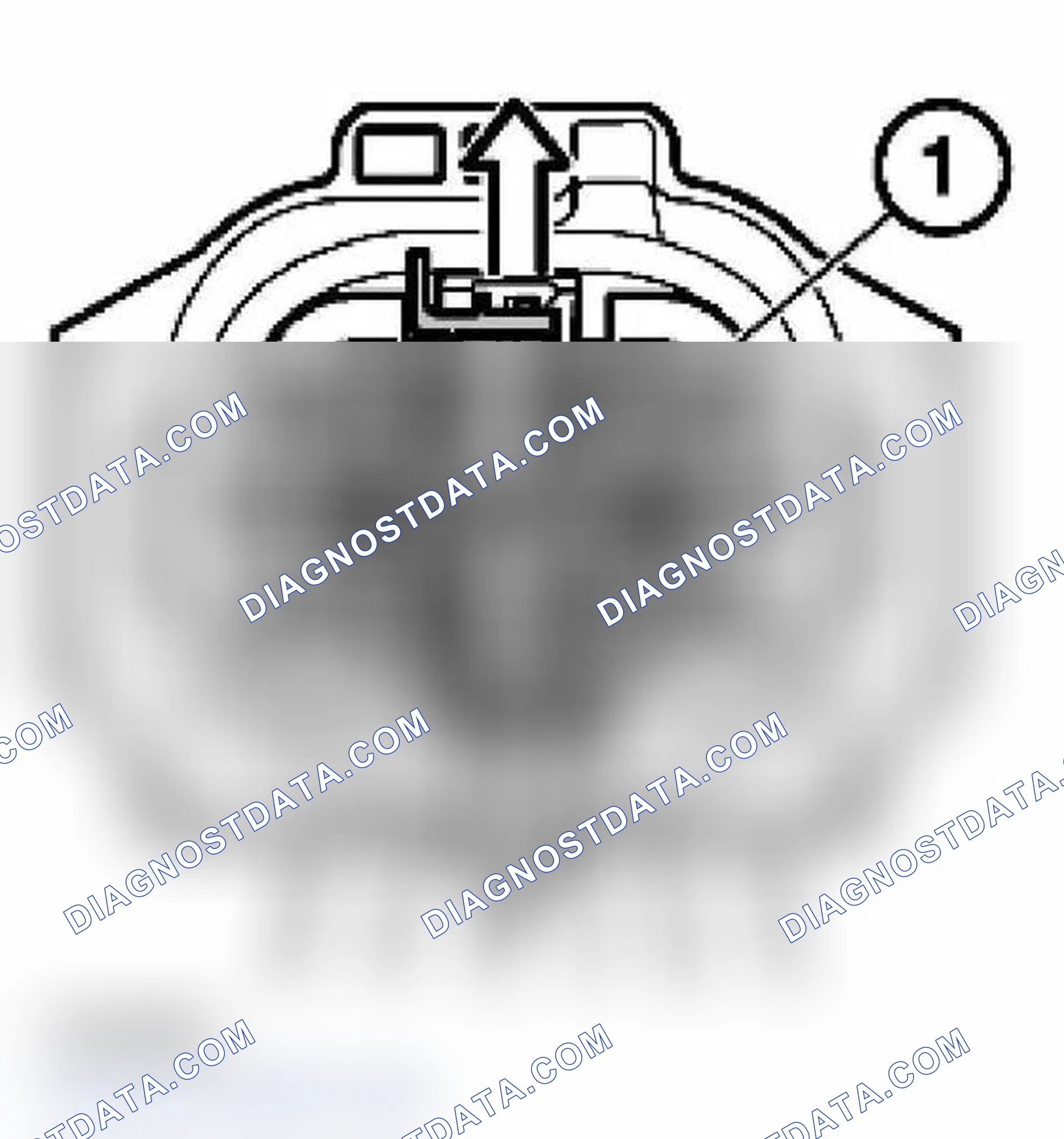 Scheme 75