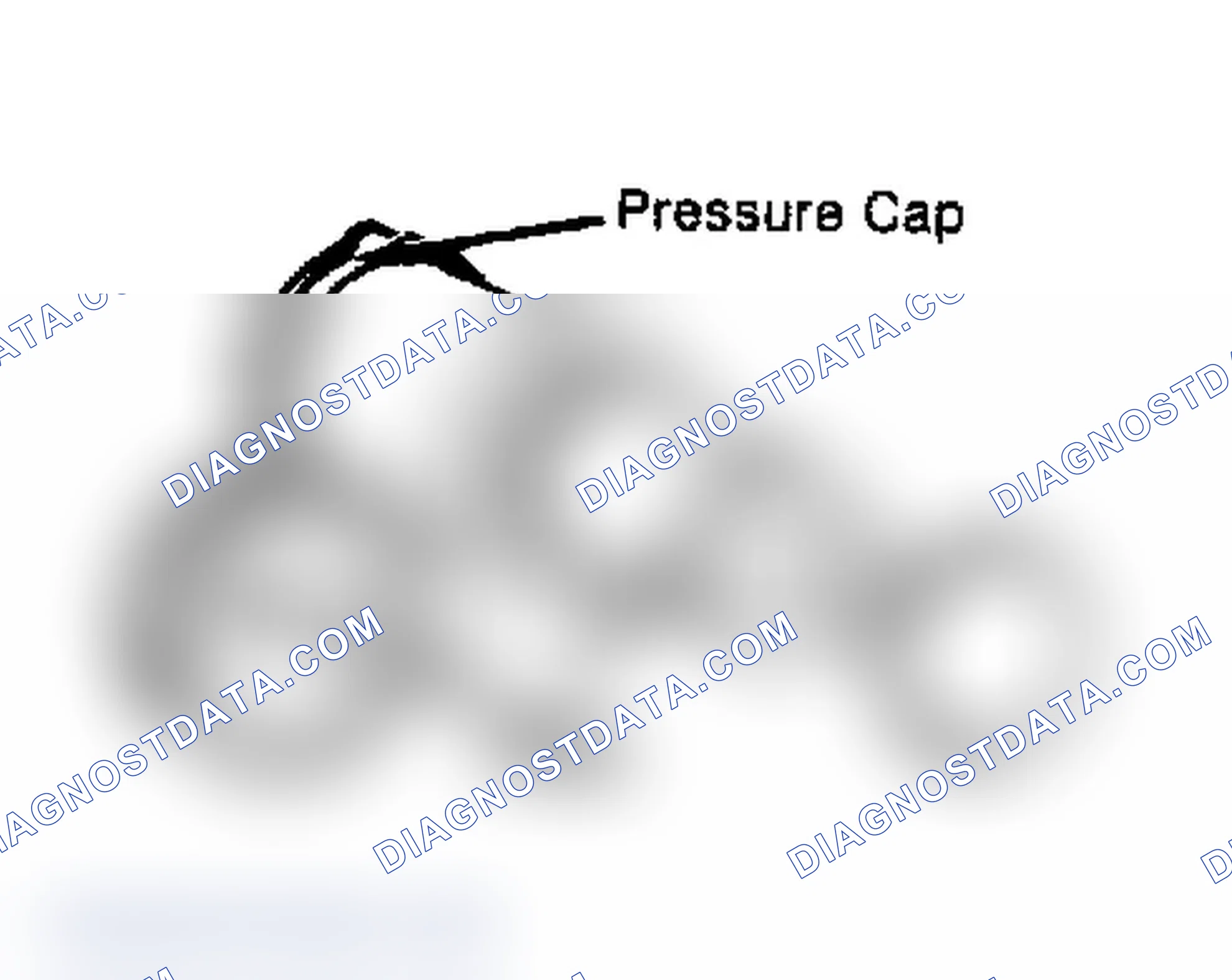 Scheme 2: Testing Radiator Pressure Cap Wet cap gasket before testing.