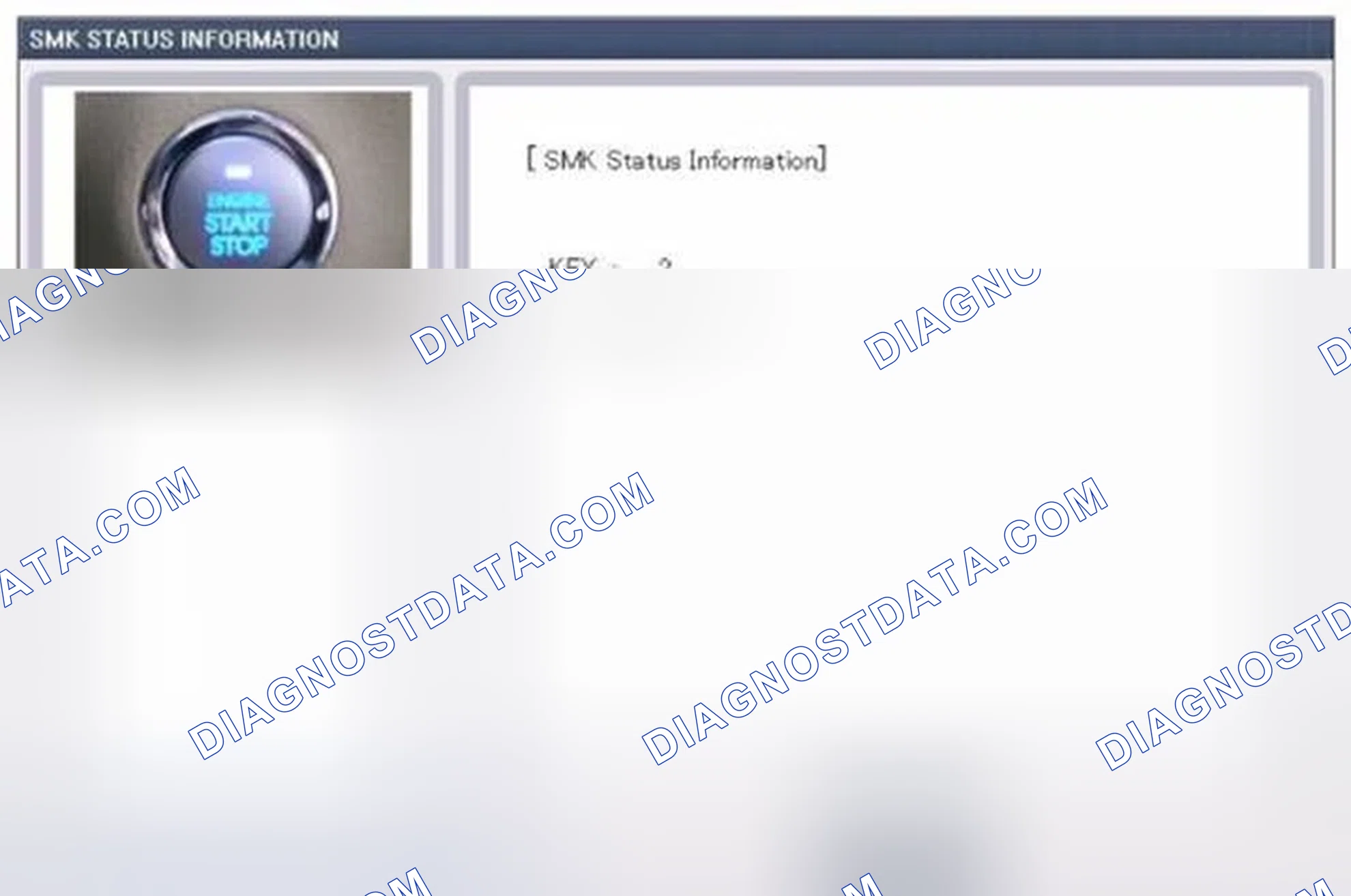Scheme 216: Monitor Scantool Data