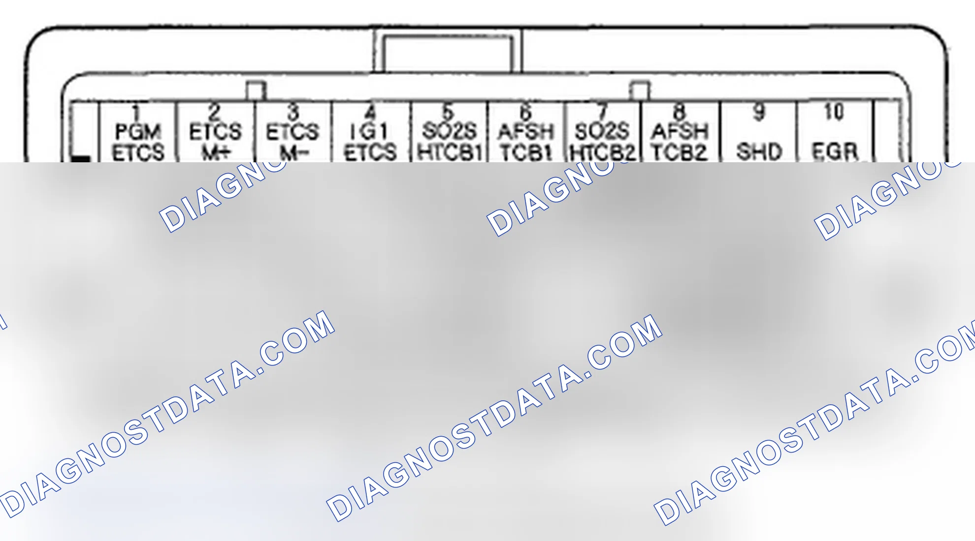 Scheme 206: PCM Inputs and Outputs at Connector C (o) (44P)