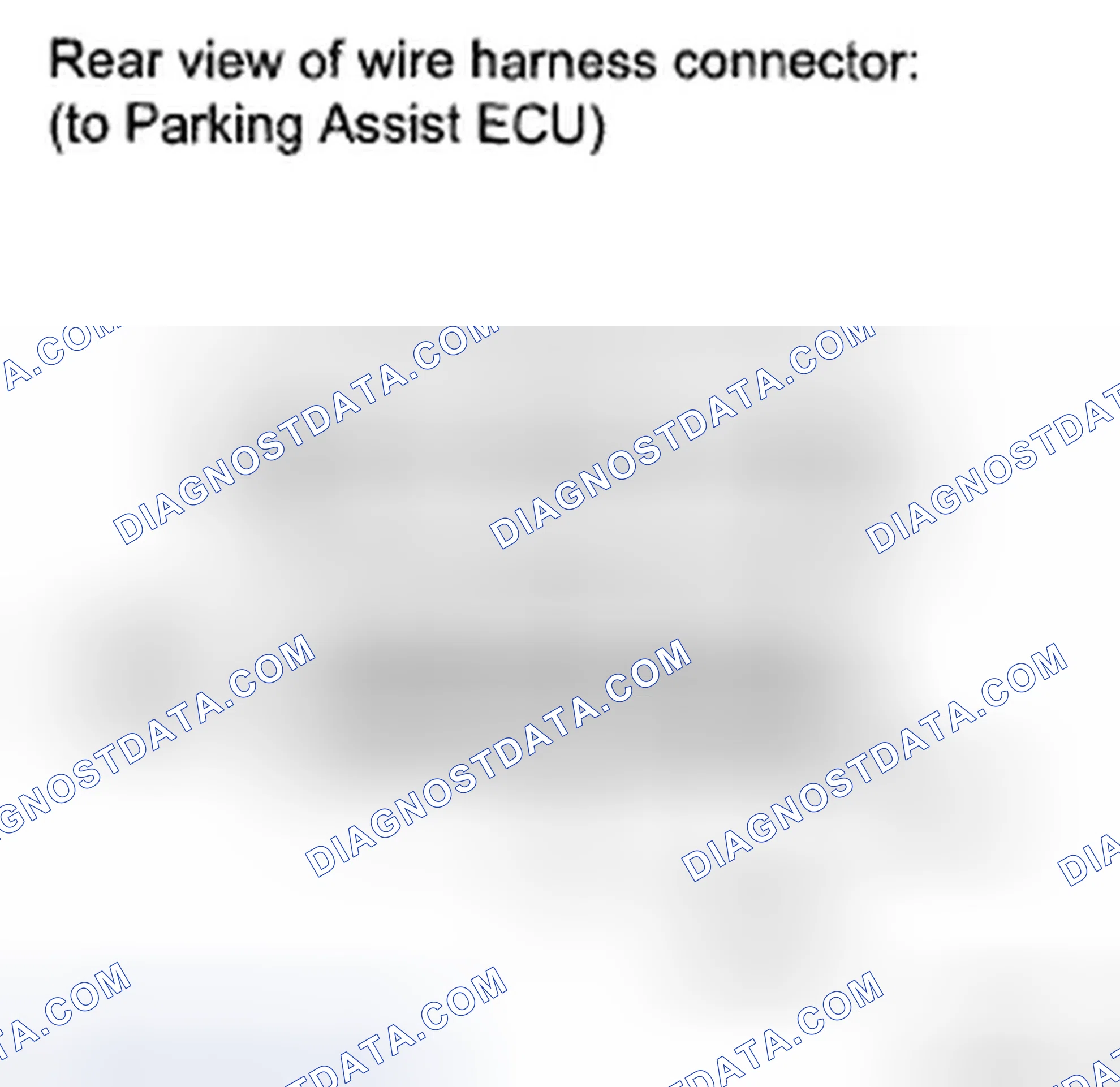 Scheme 142: INSPECTION PROCEDURE