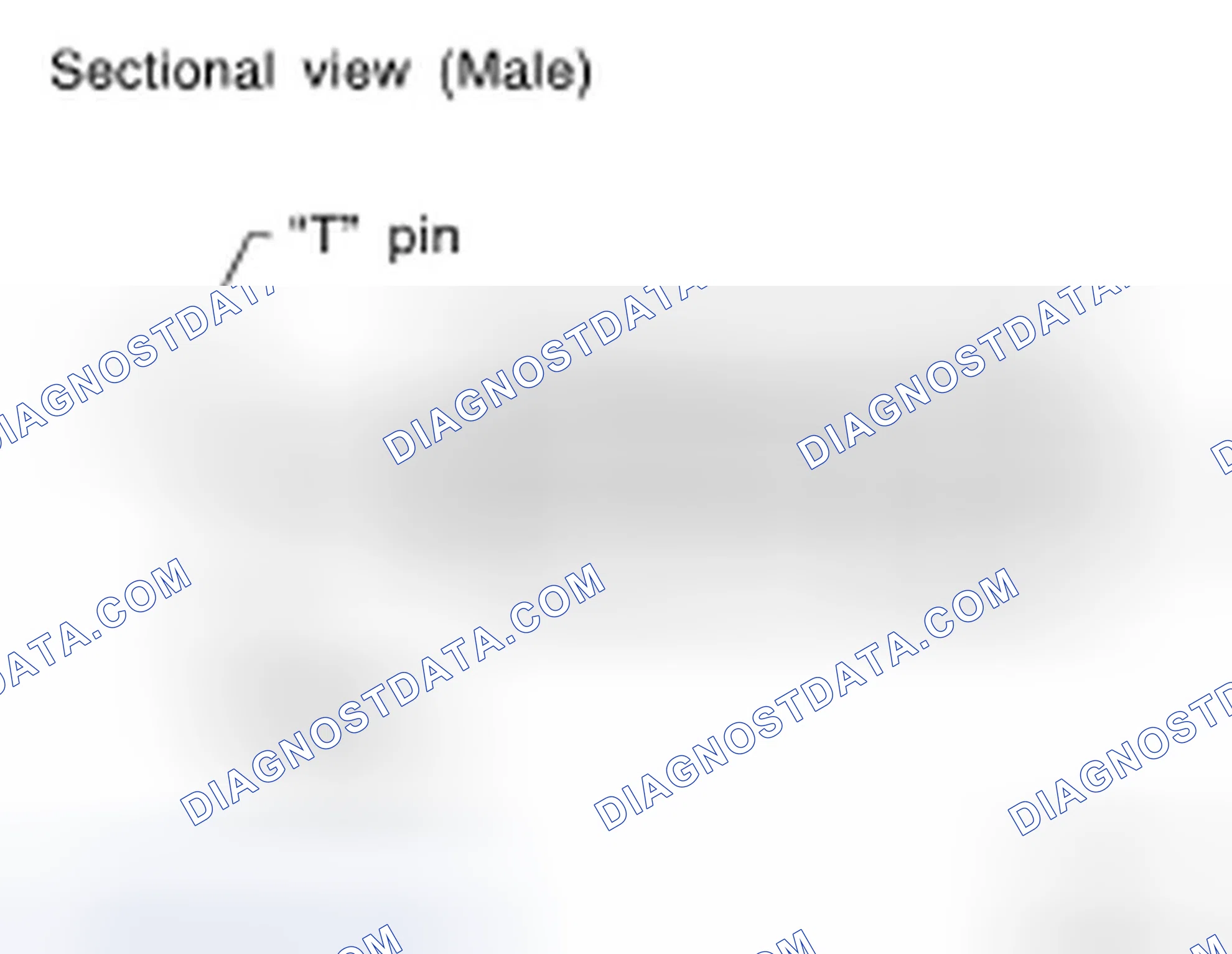 Scheme 47: MALE TERMINAL