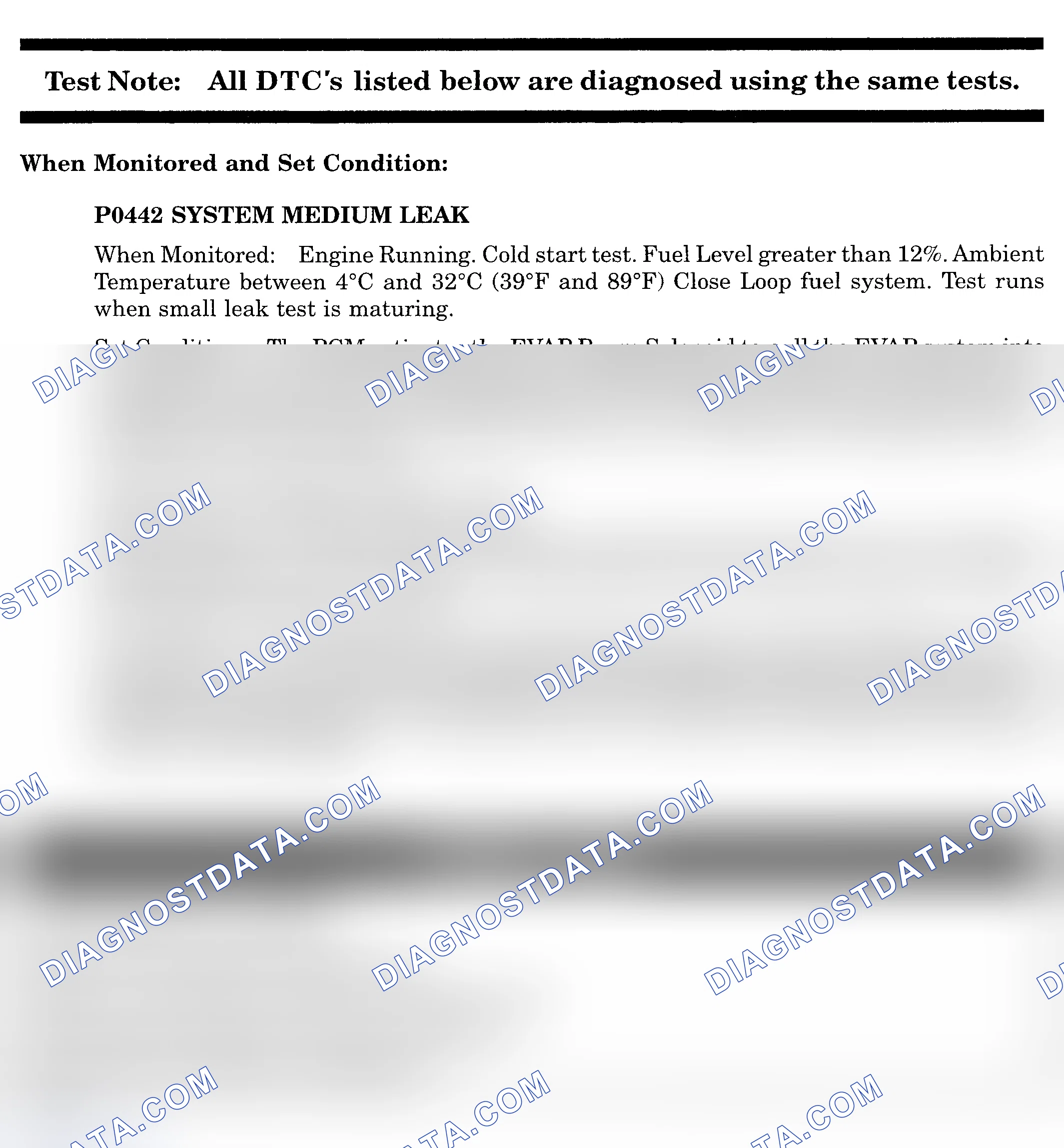 Scheme 539: DTC P0442: SYSTEM MEDIUM LEAK