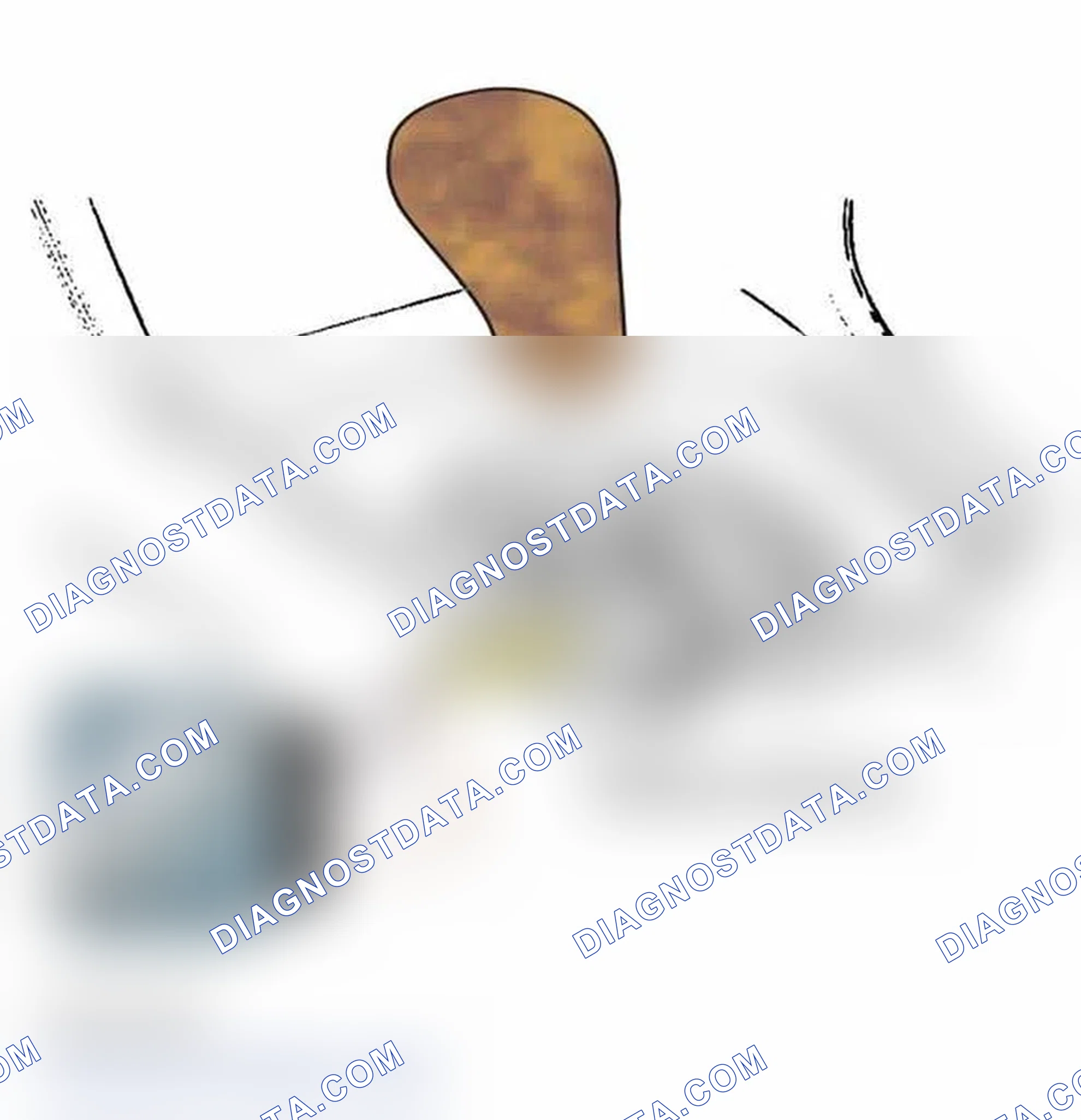Scheme 170: SHIFT LOCK