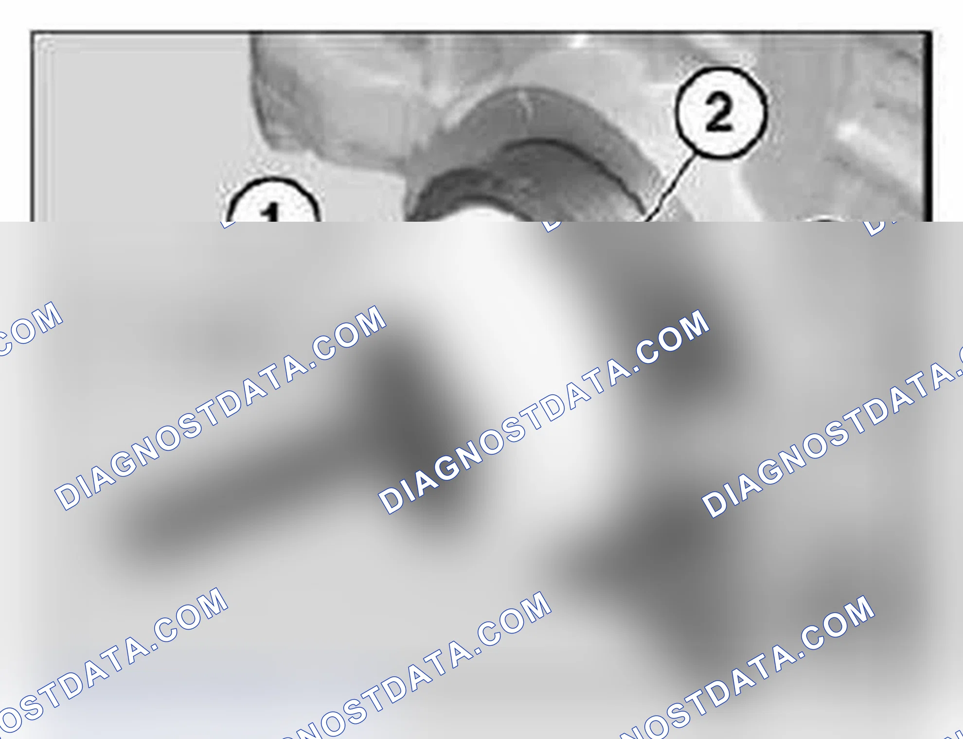 Scheme 597