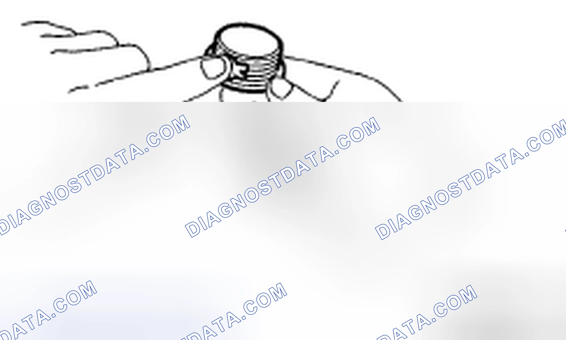 Scheme 404