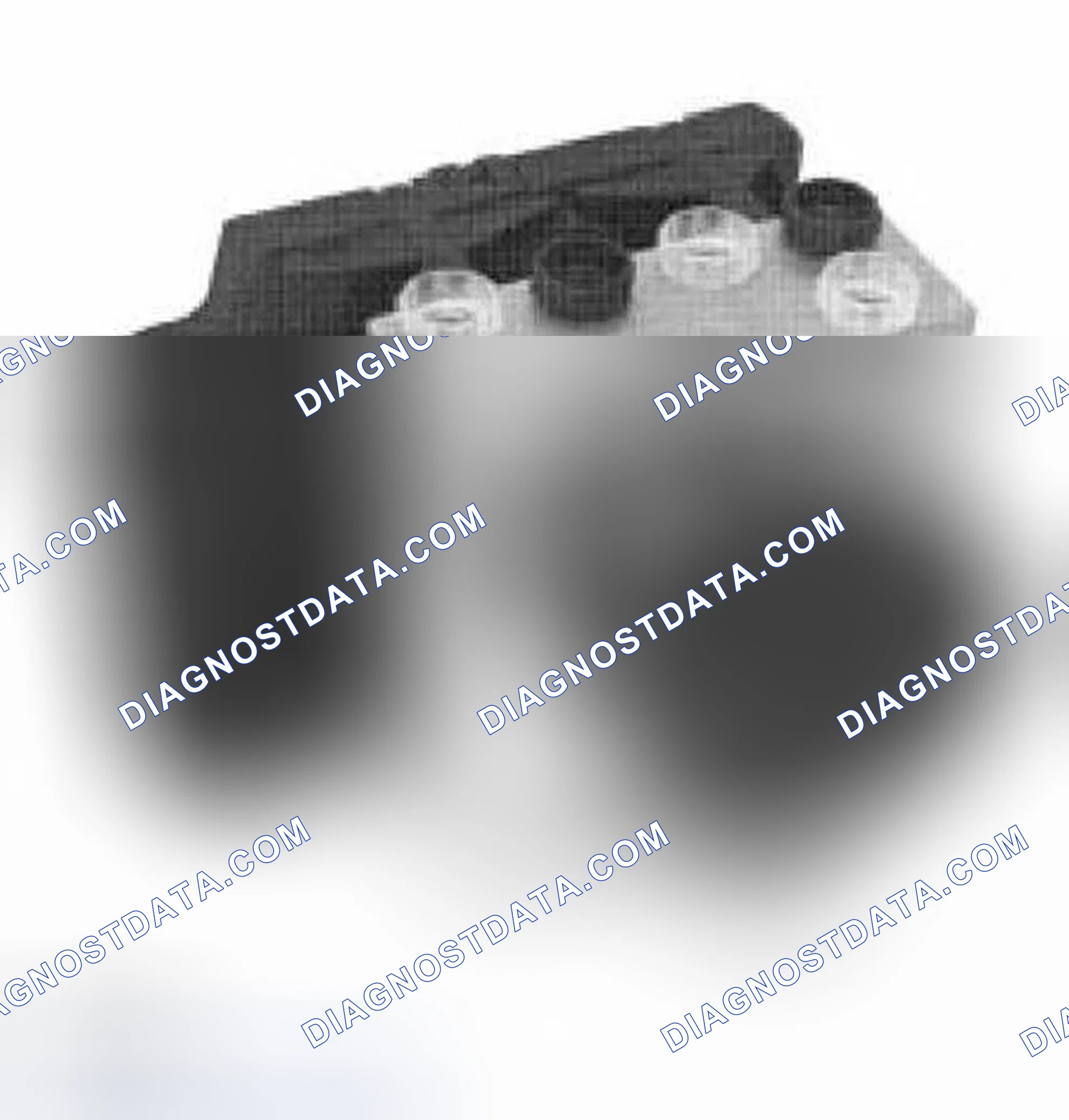 Scheme 39: Identifying Control Module/Hydraulic Unit