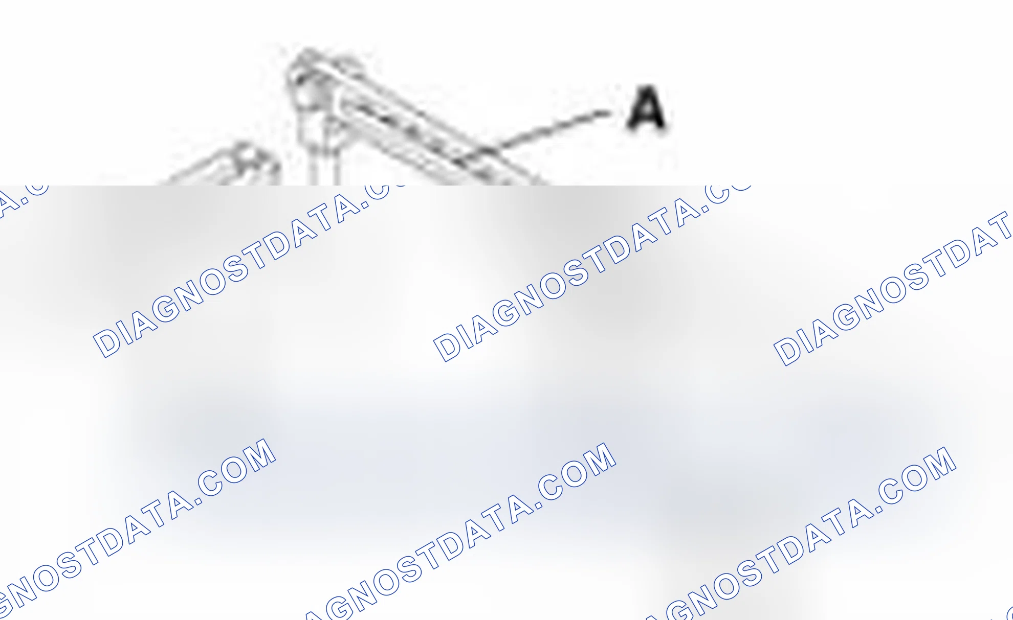 Scheme 173