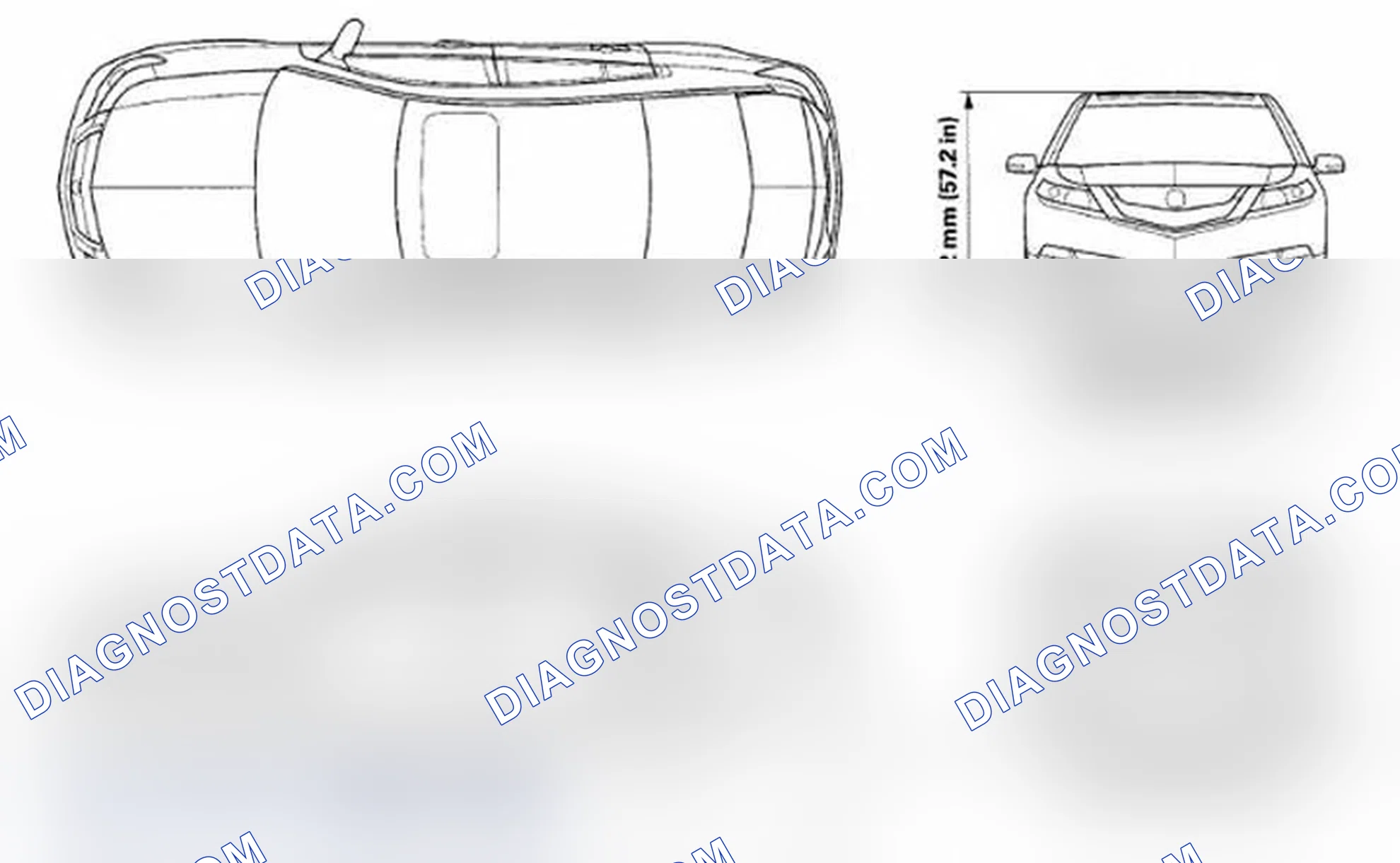 Scheme 82: Body Specifications