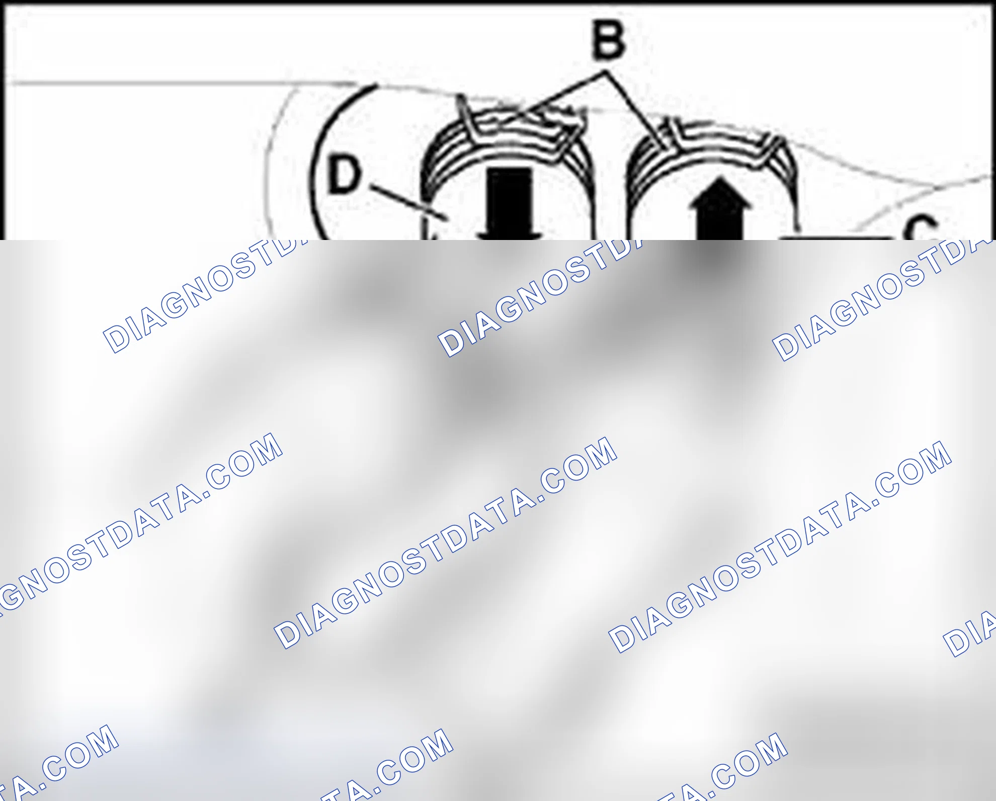 Scheme 65