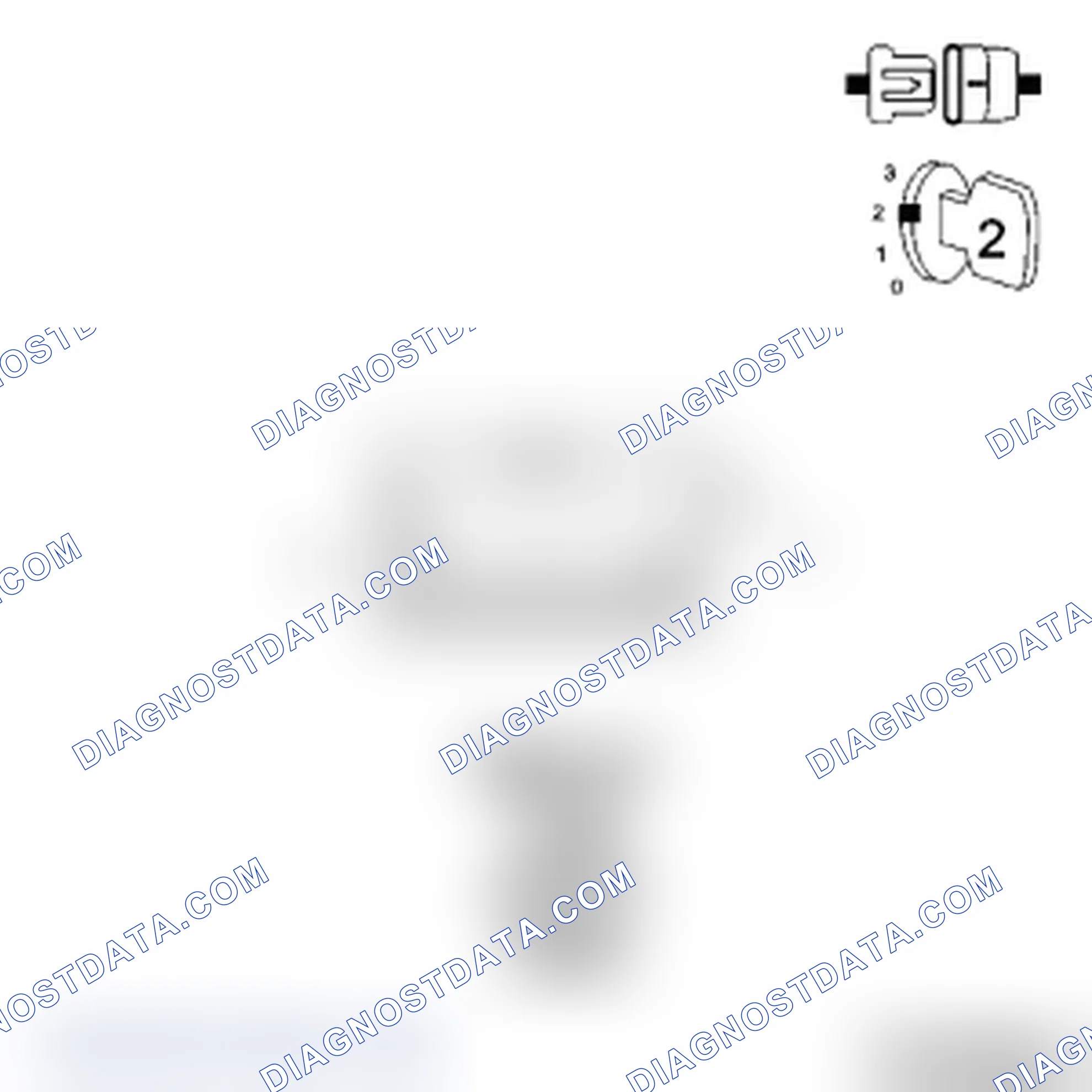 Scheme 43: Diagnostic Test