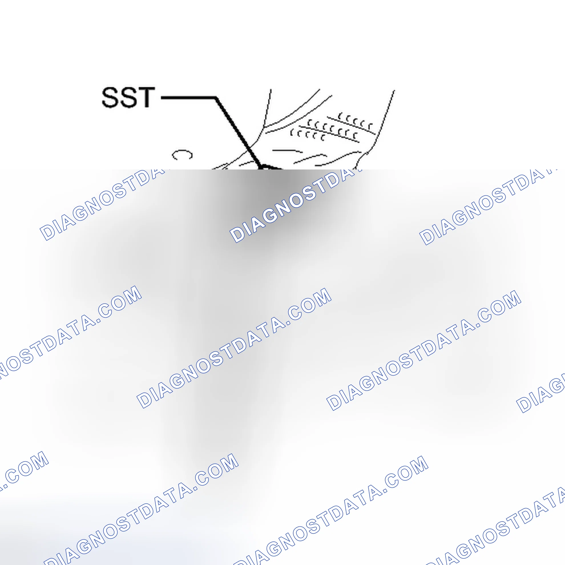 Scheme 290