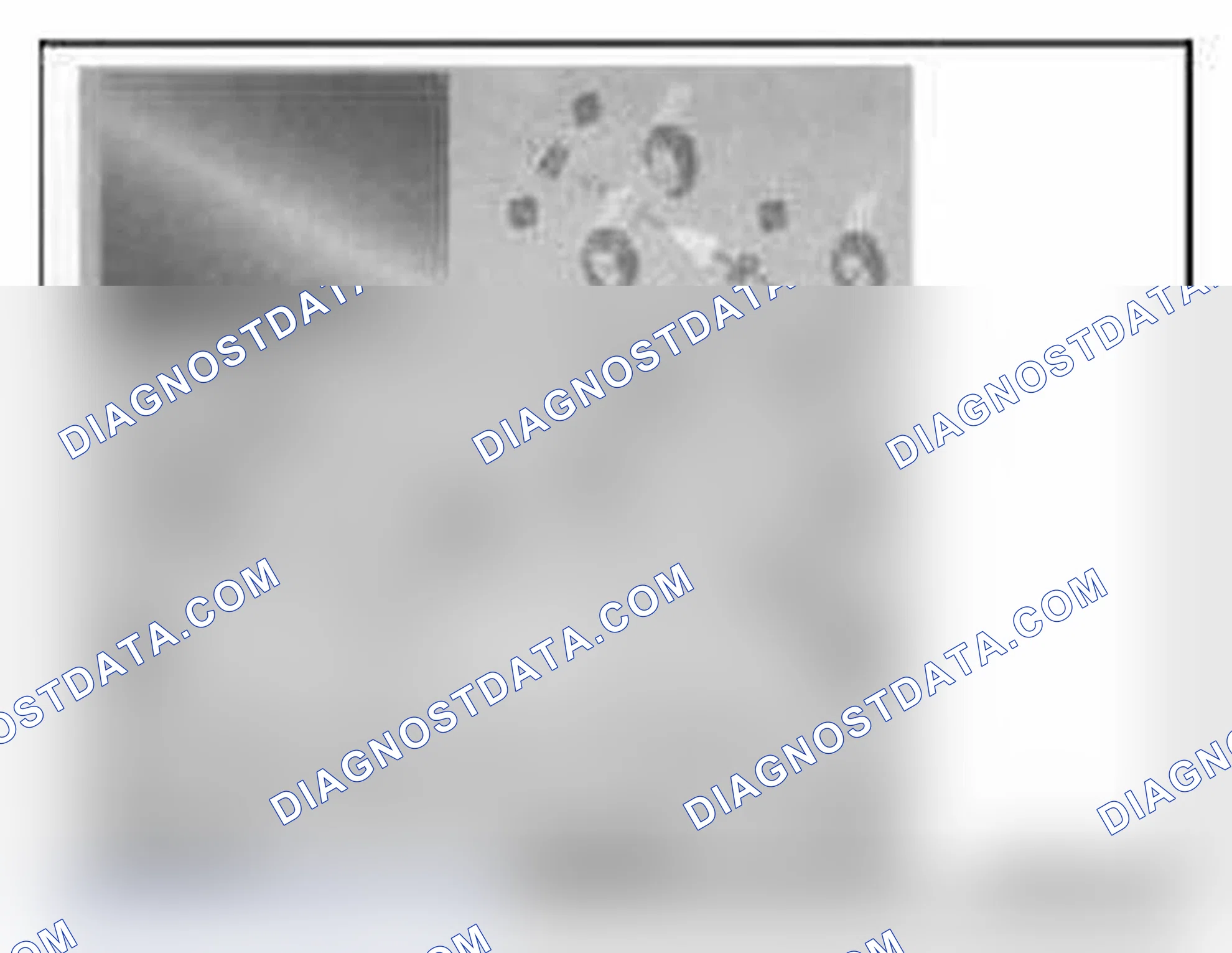 Scheme 305: 3.3 Graphical tablet