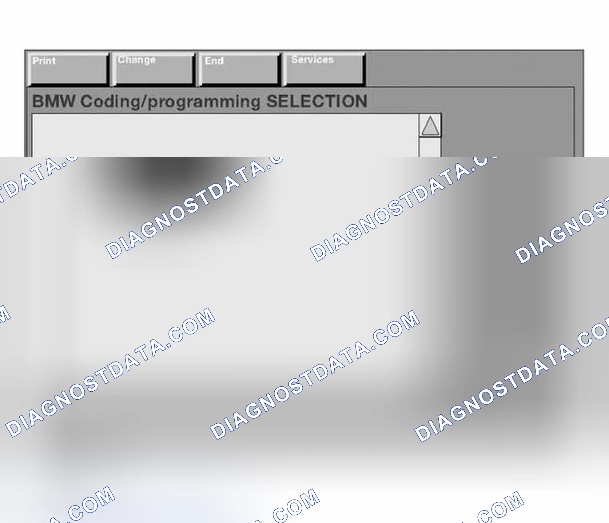 Scheme 215