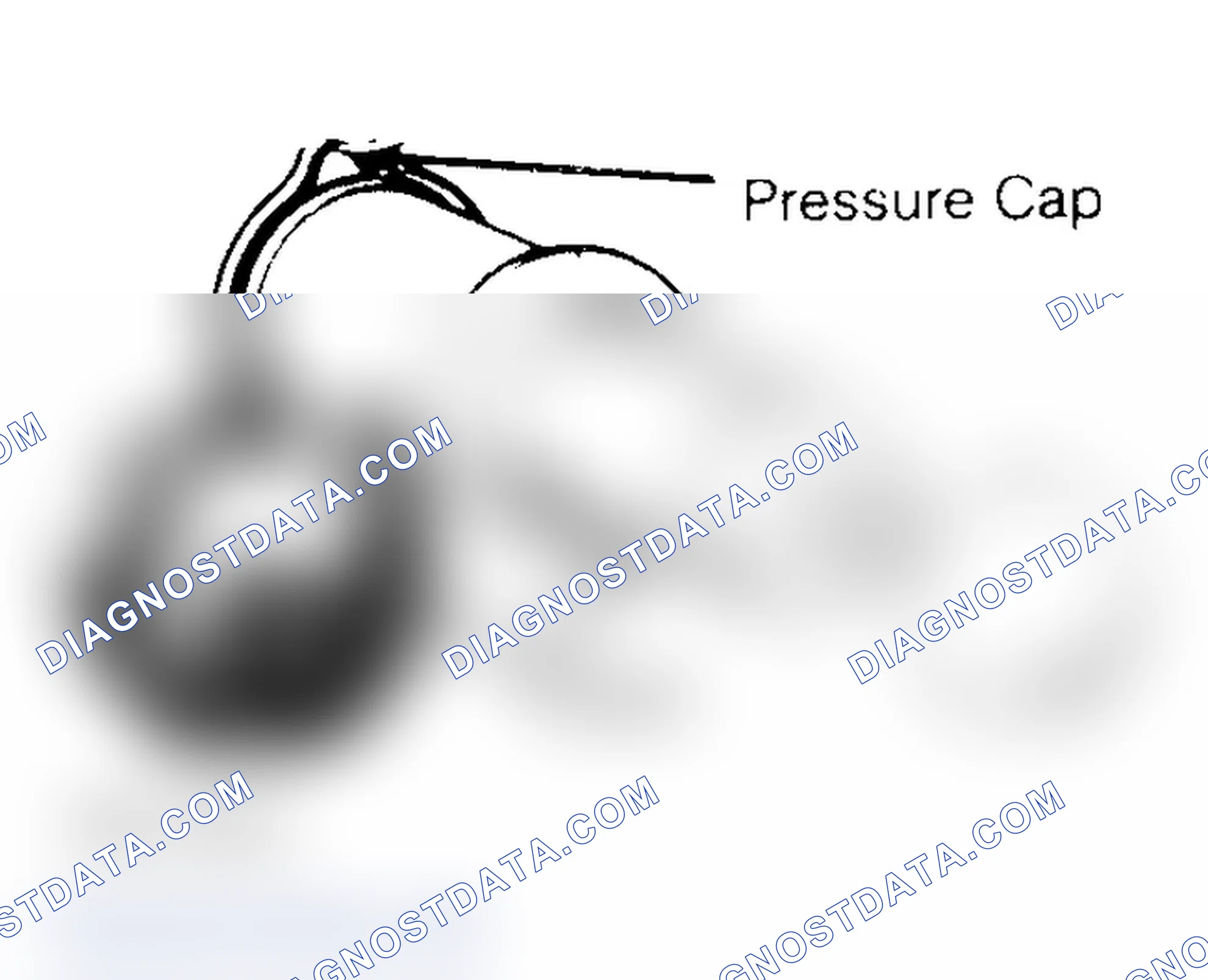 Scheme 2: Pressure Testing Radiator Cap