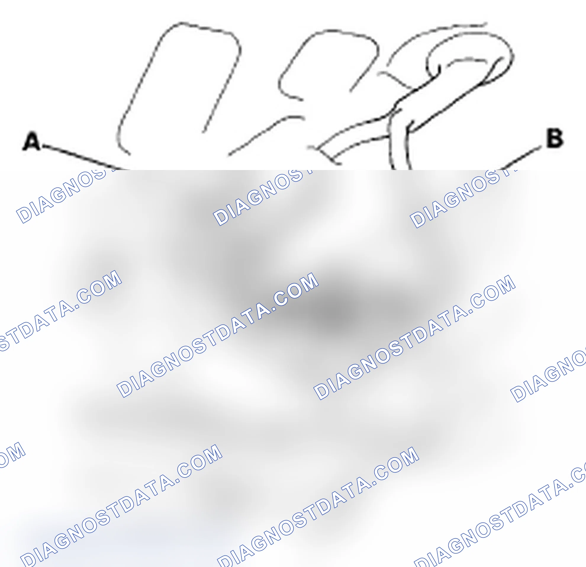 Scheme 131