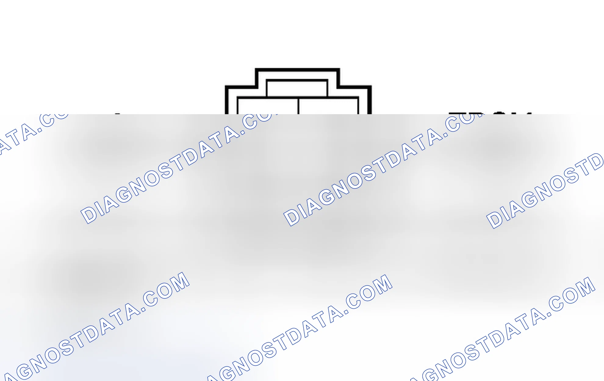 Scheme 10: DTCS P0335, P0336, P1361 & P1362 -CRANKSHAFT POSITION/TOP DEAD CENTER (CKP/TDC) SENSOR