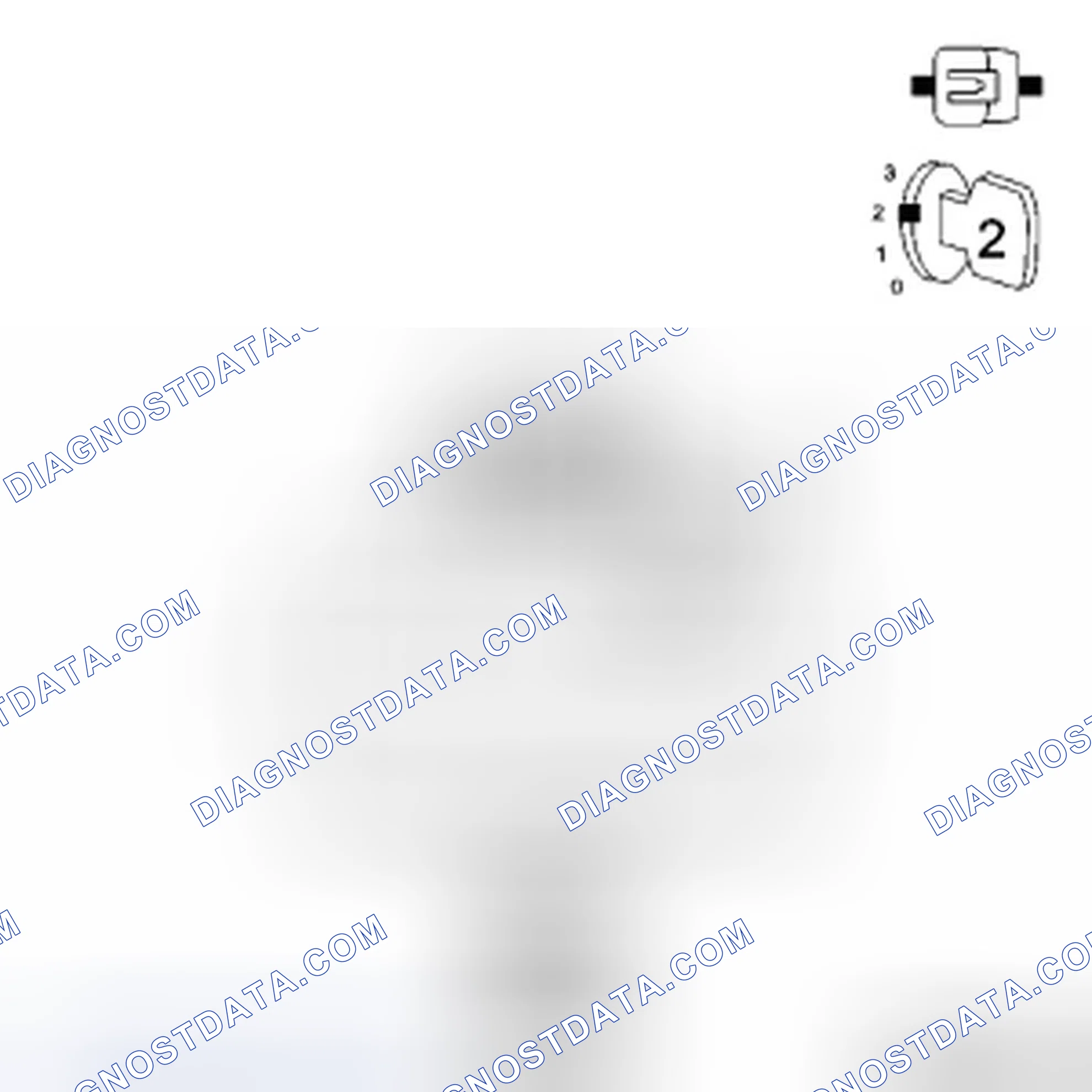 Scheme 24: Diagnostic Test