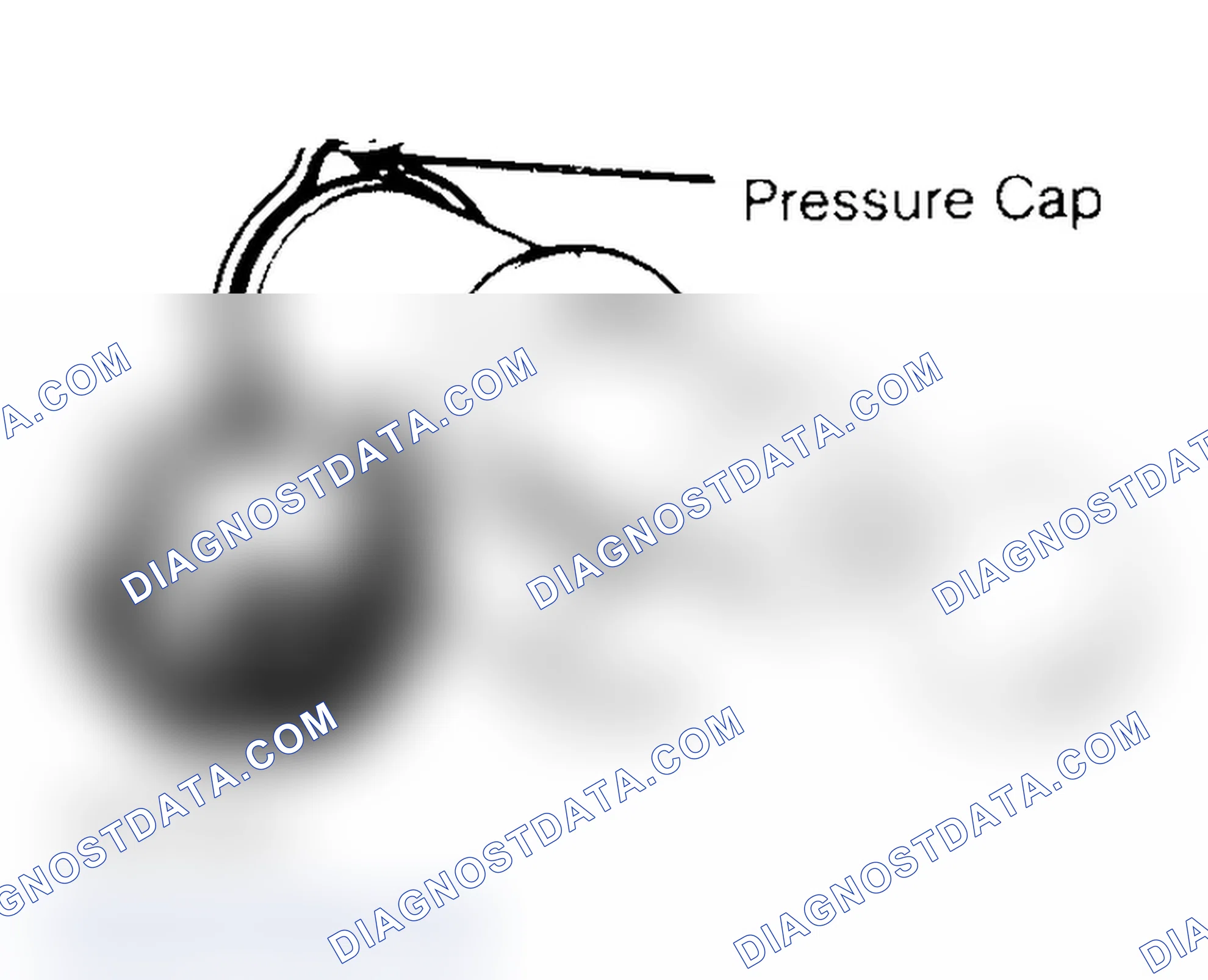Scheme 2: Pressure Testing Radiator Cap