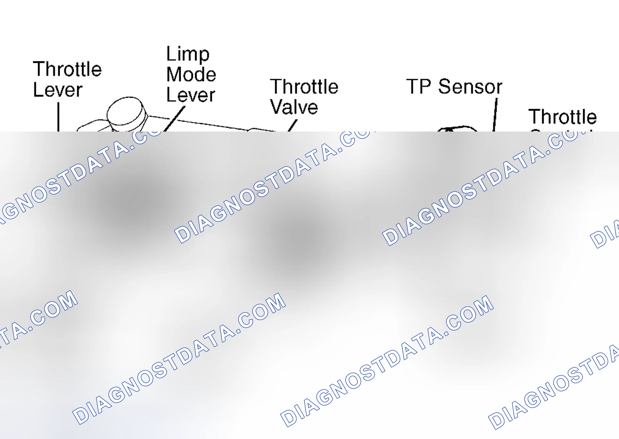 Scheme 322: Land Cruiser & LX470