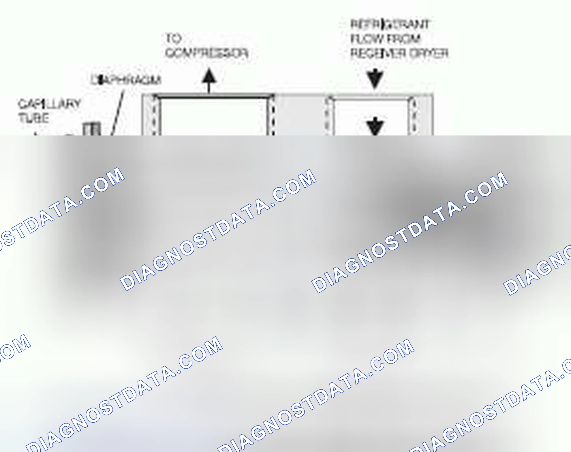 Scheme 215