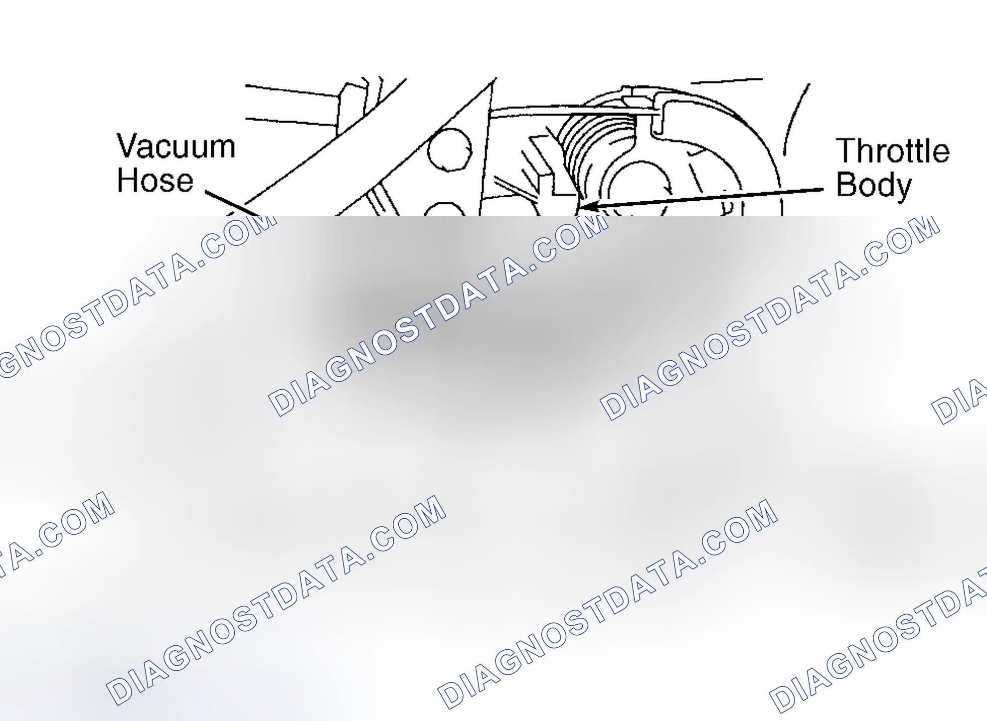 Scheme 290: Tacoma