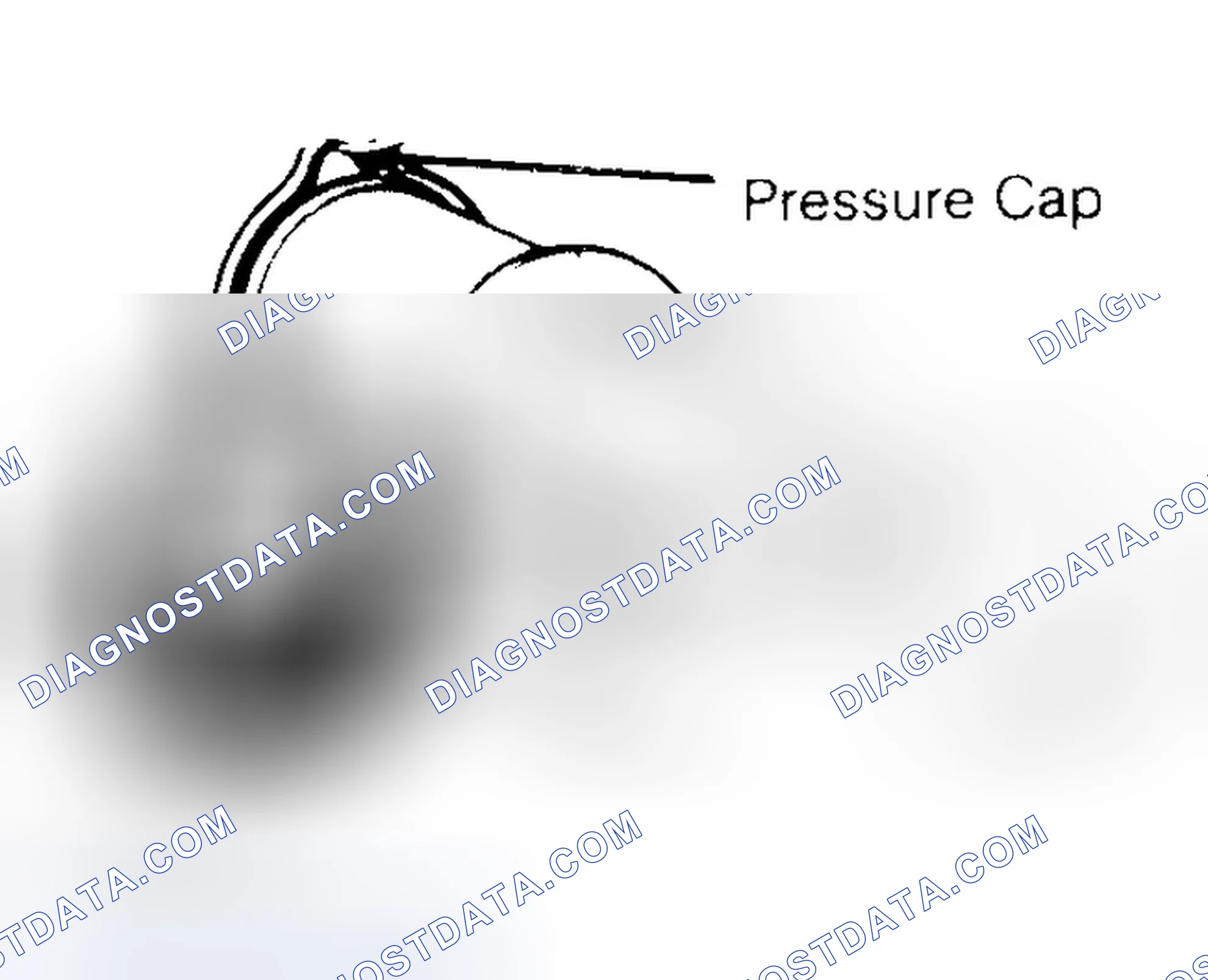 Scheme 2: Pressure Testing Radiator Cap