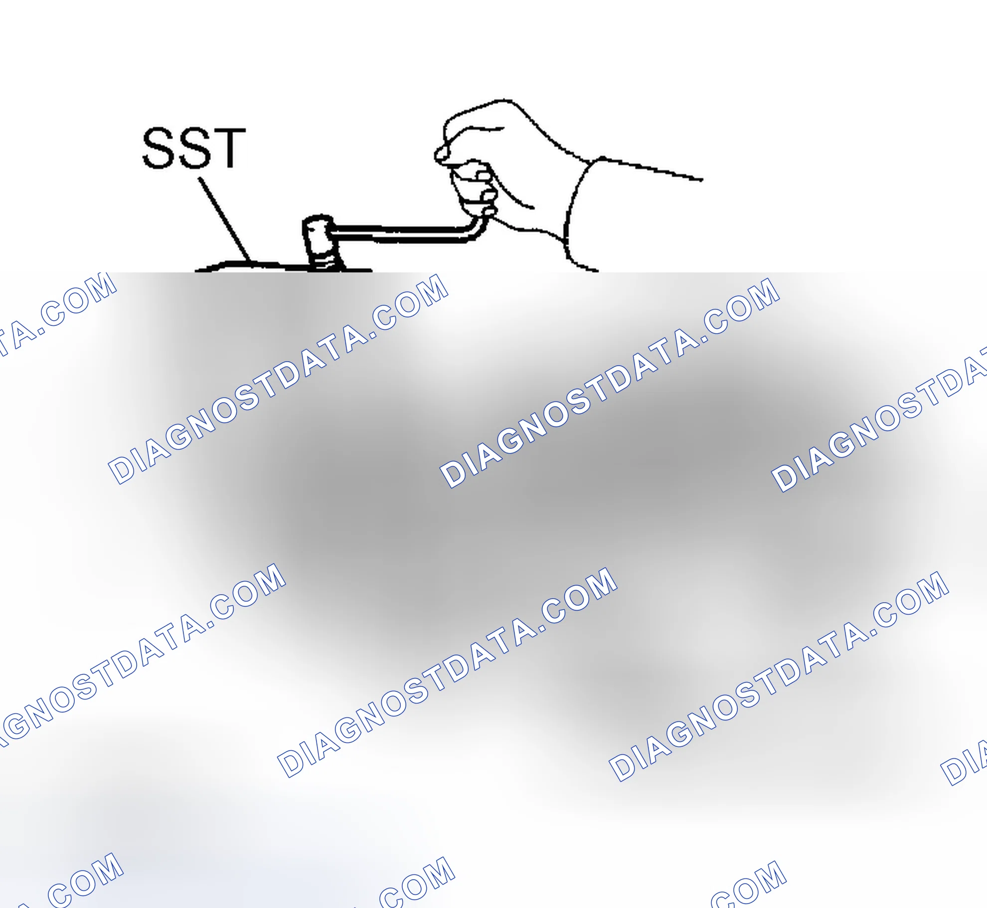 Scheme 366