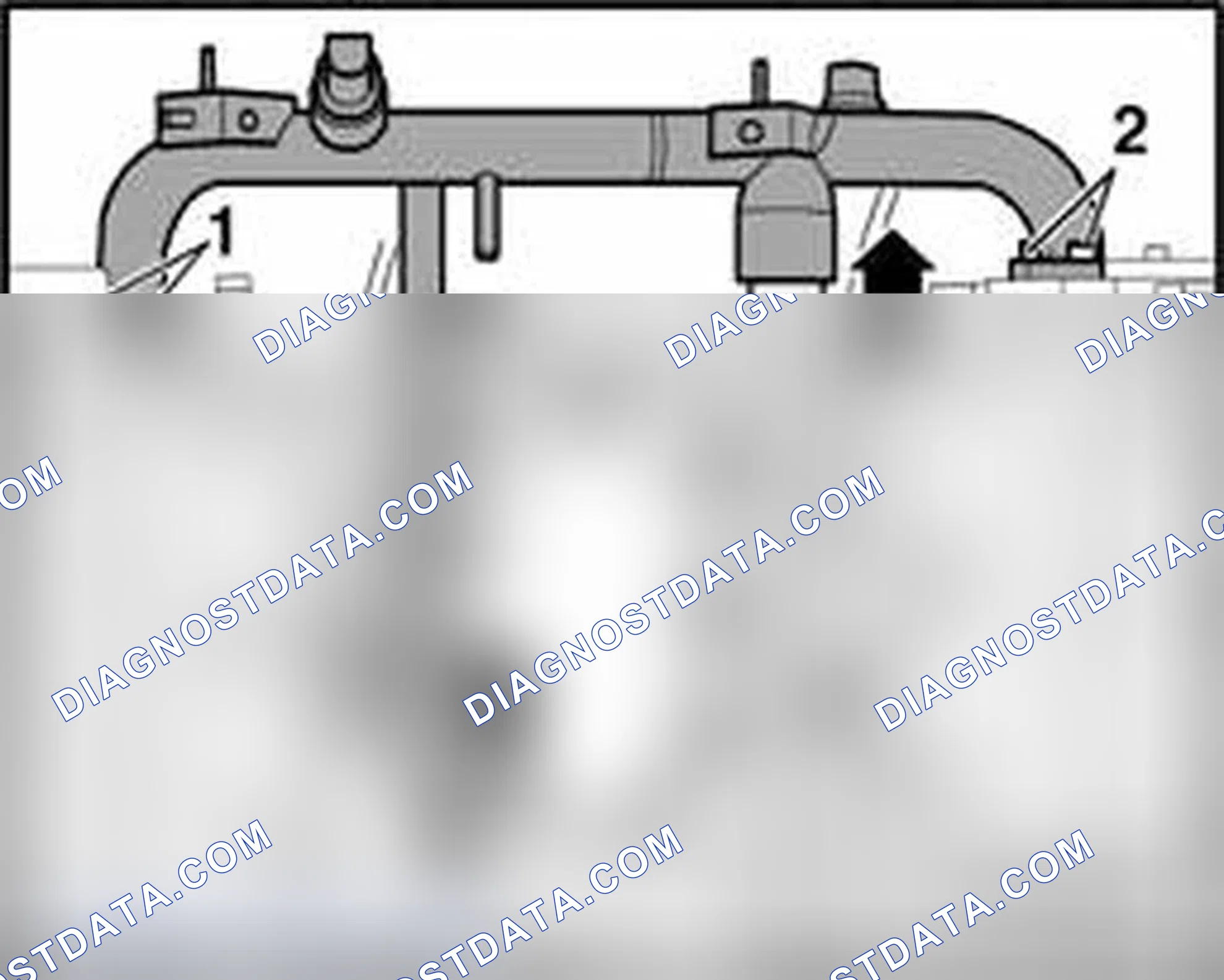 Scheme 291