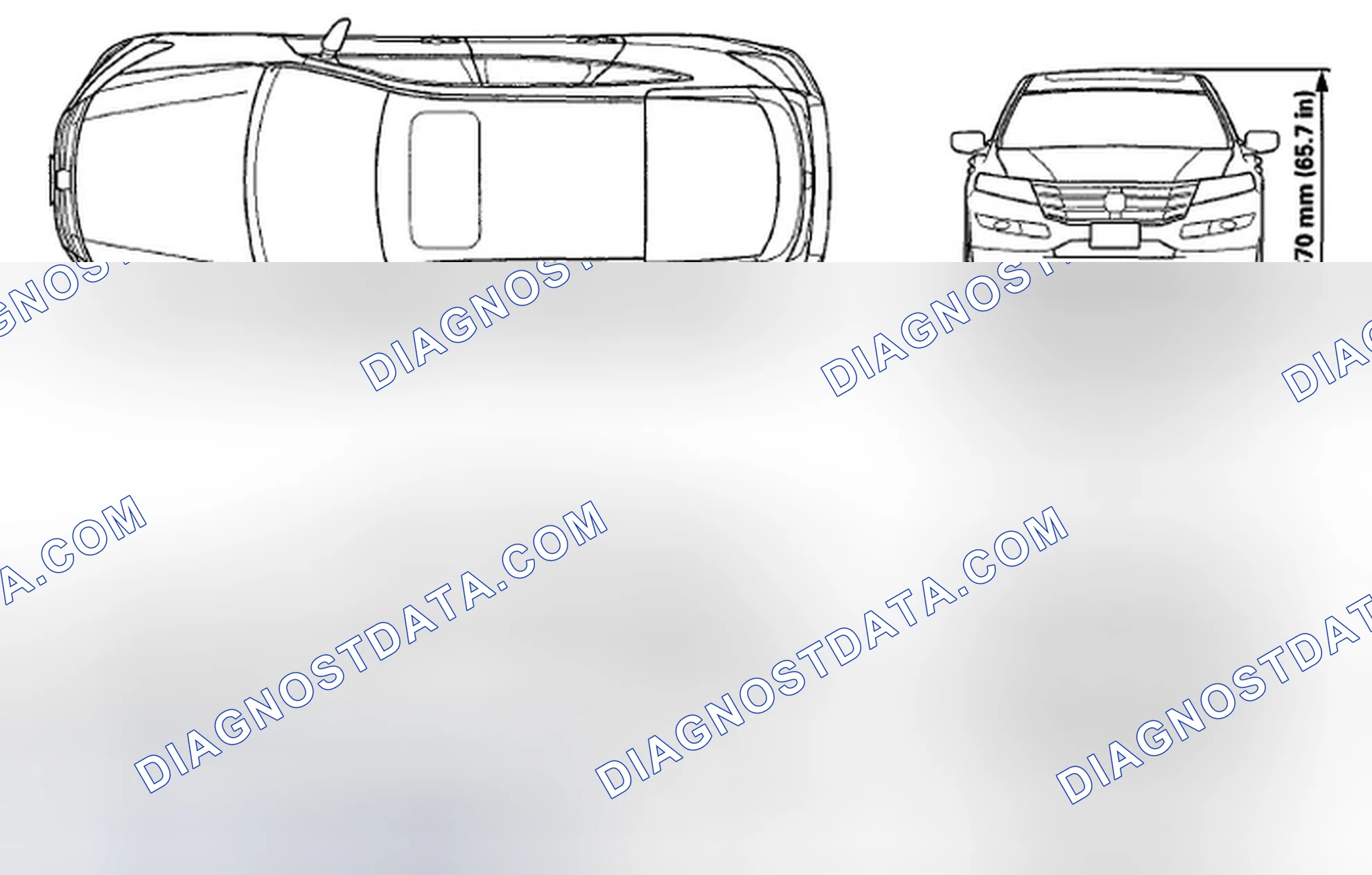 Scheme 1: Body Specifications