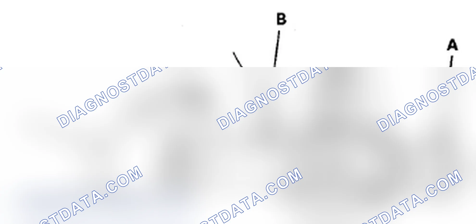 Scheme 2: Radiator Cap Test
